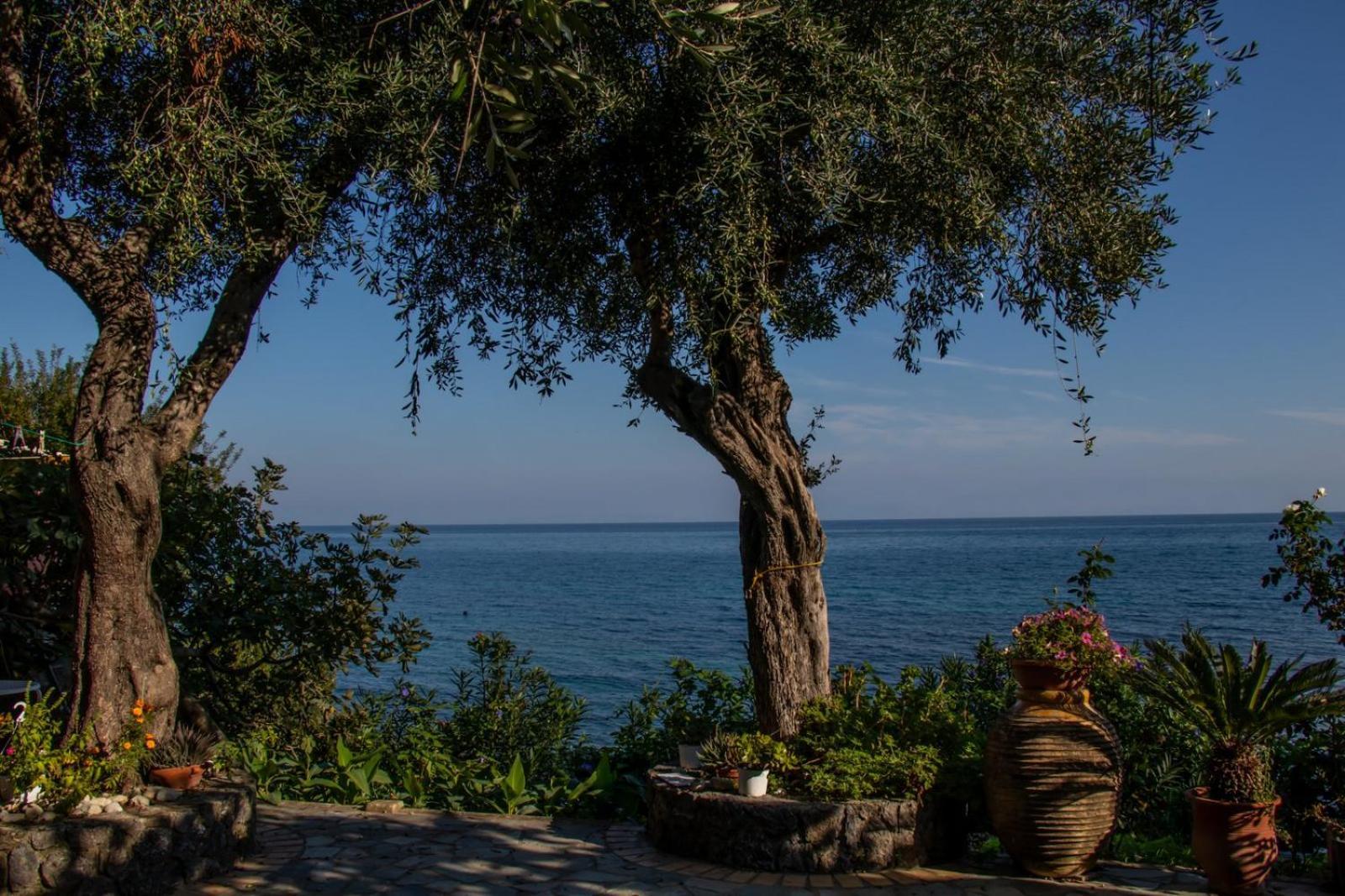 Beachfront Romantica Place