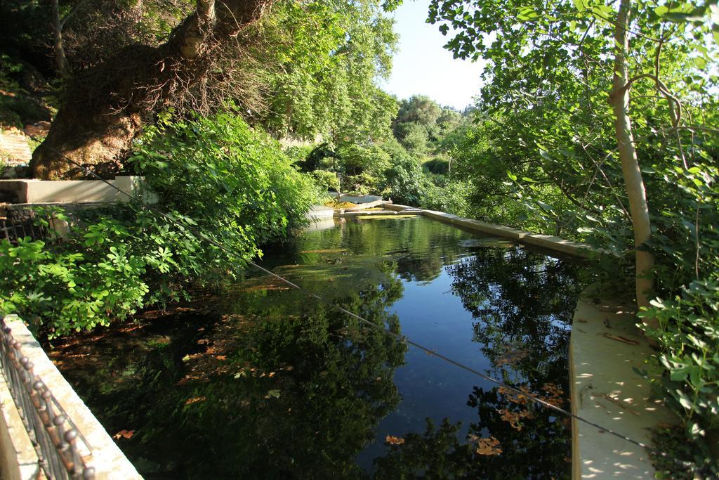 Villa Athina *