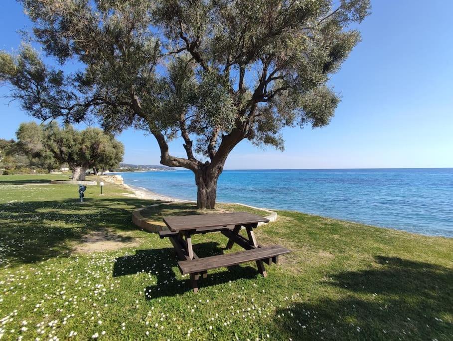 Beachfront Charming Maisonette Holiday home