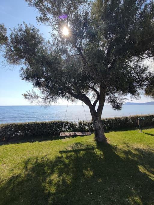 Holiday home Beachfront Charming Maisonette Mola Kalyva