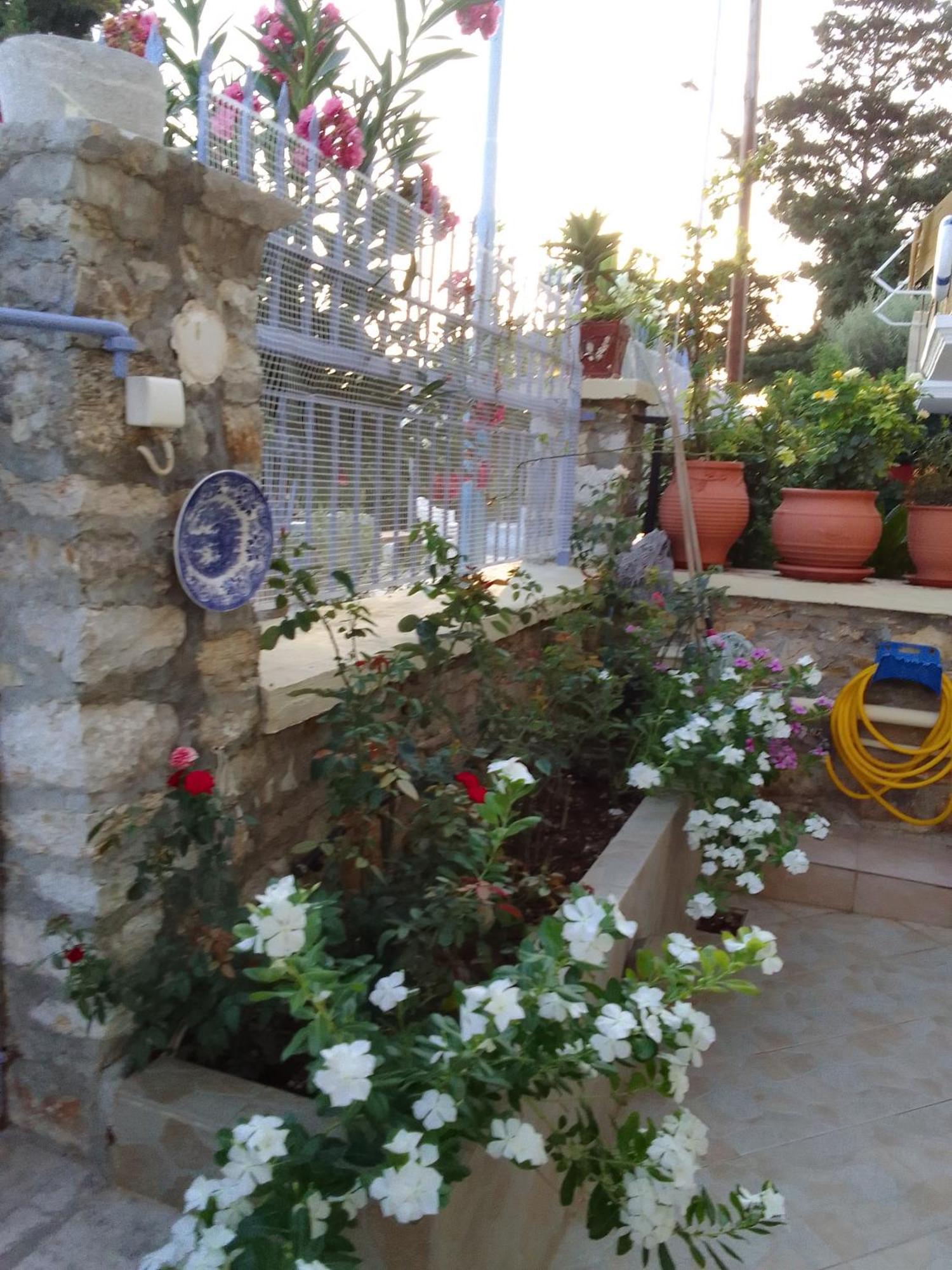 Apartment Chryssa