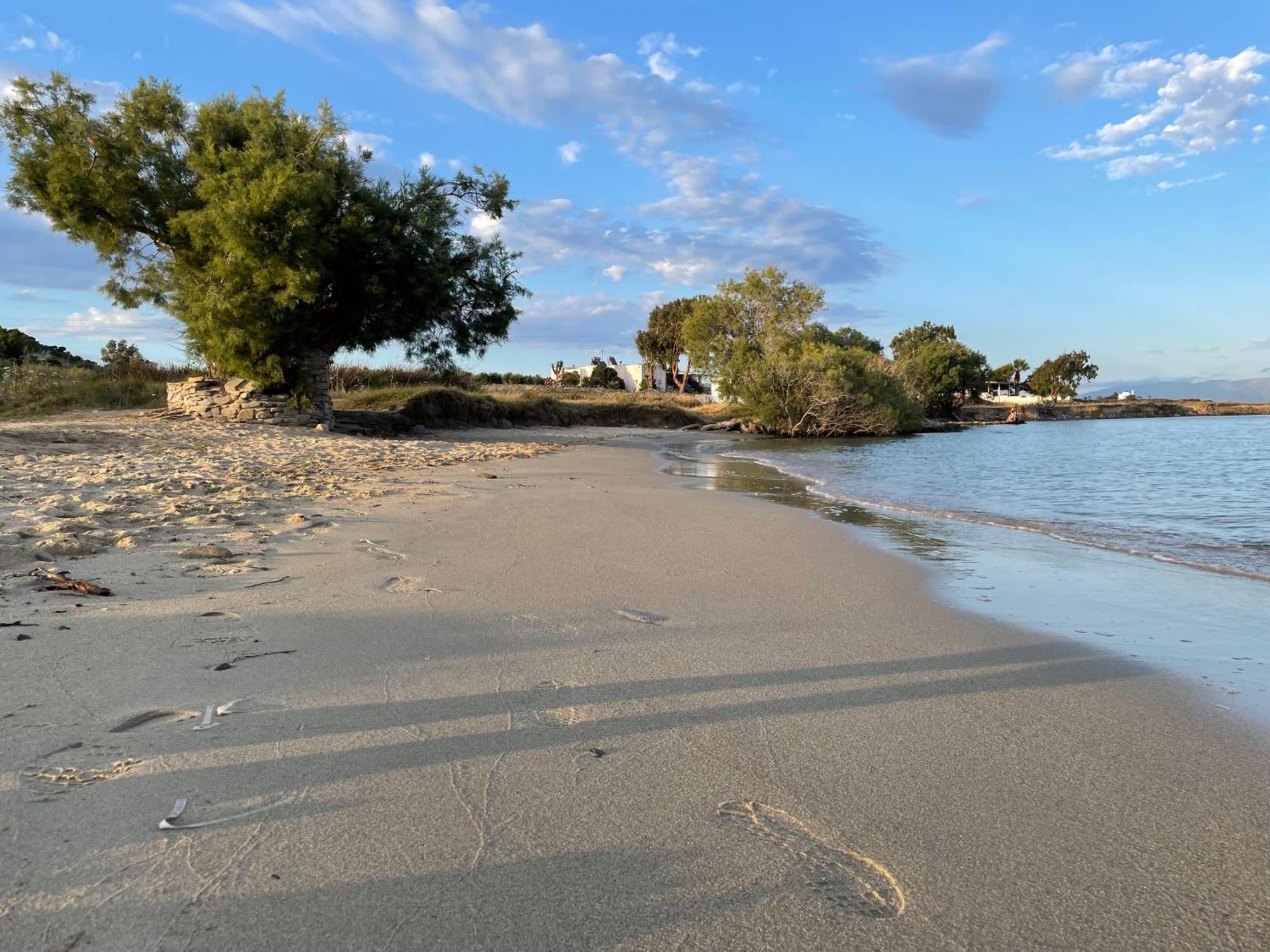 Playera Holiday home *