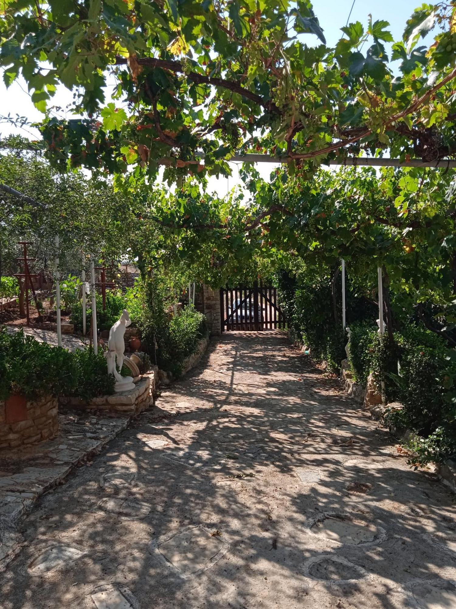 Pontinos * Miloi (Argolis)