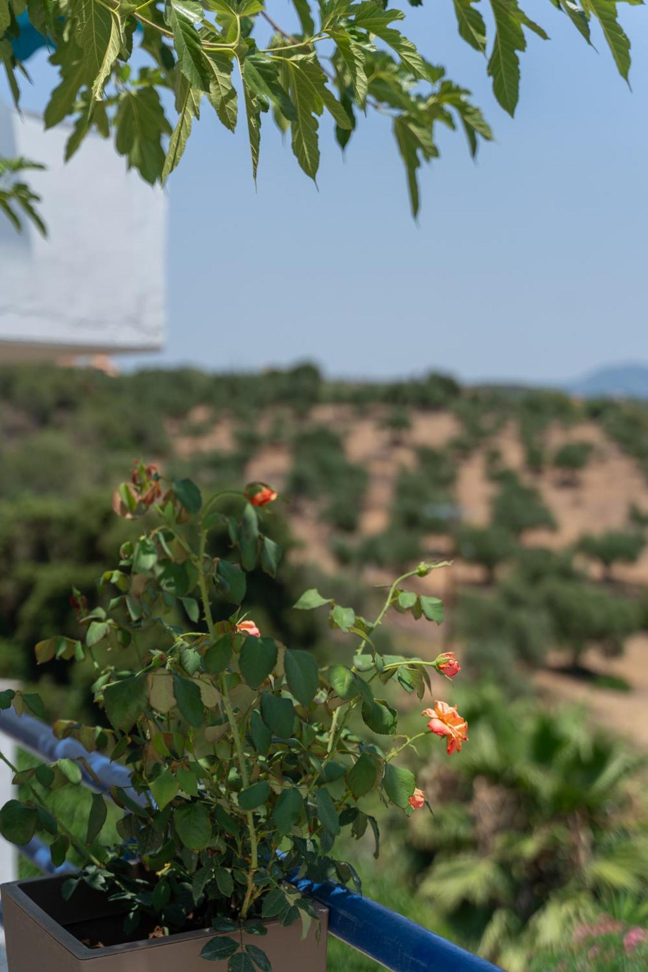Aparthotel Blue Maisonettes Kamaria (Messinia)