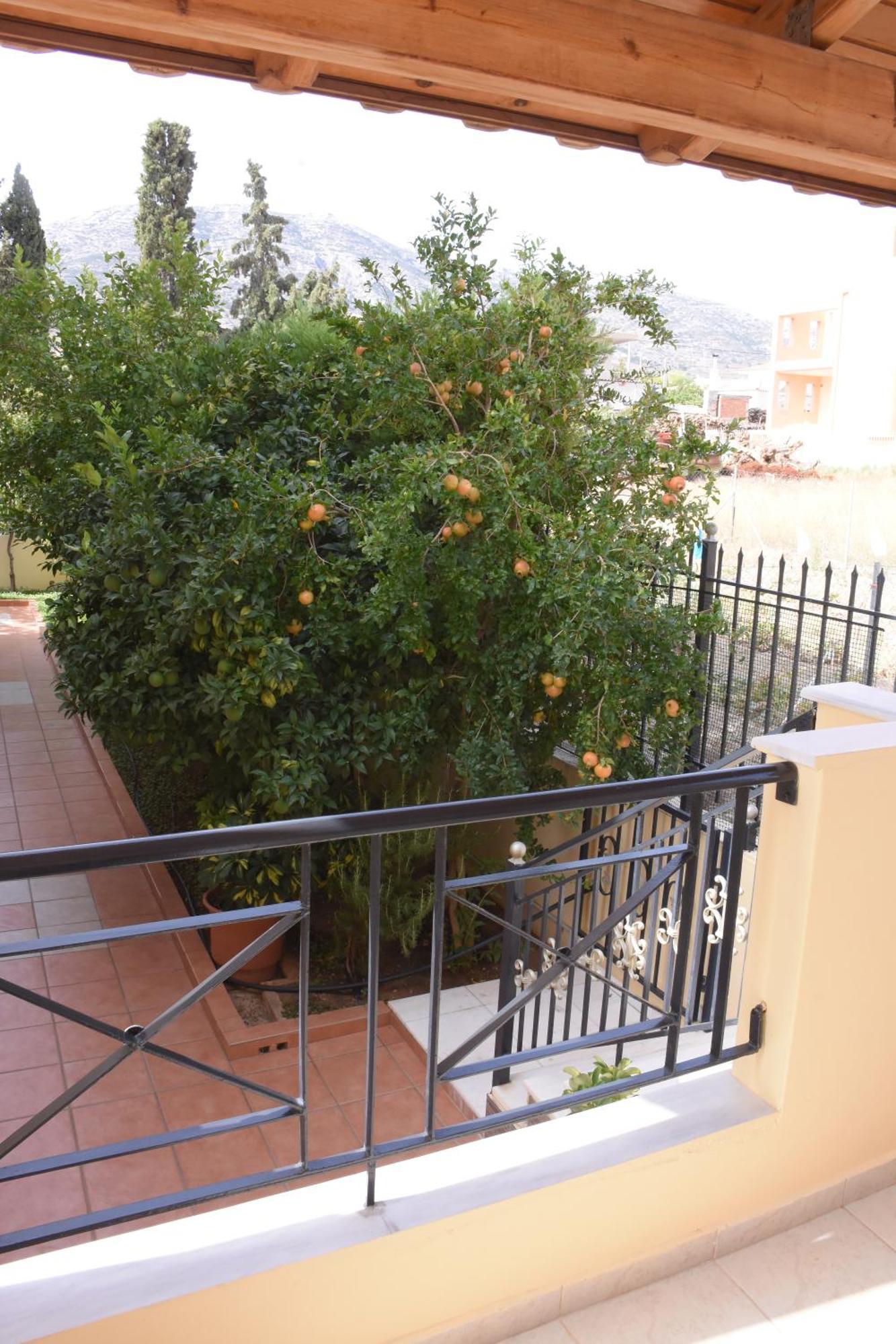 Luxury -athens Airport Villa