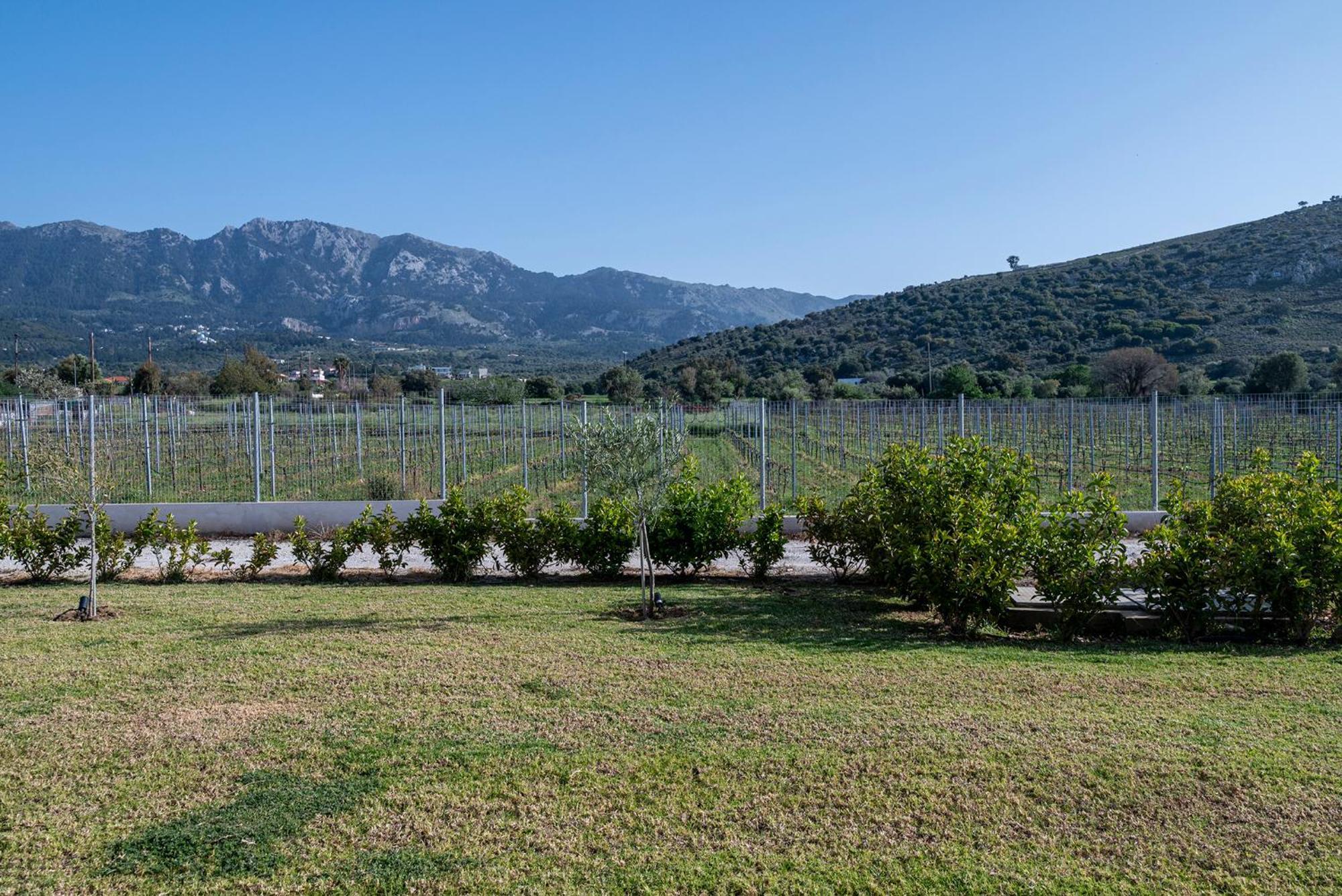 Olive Tree Garden Holiday home