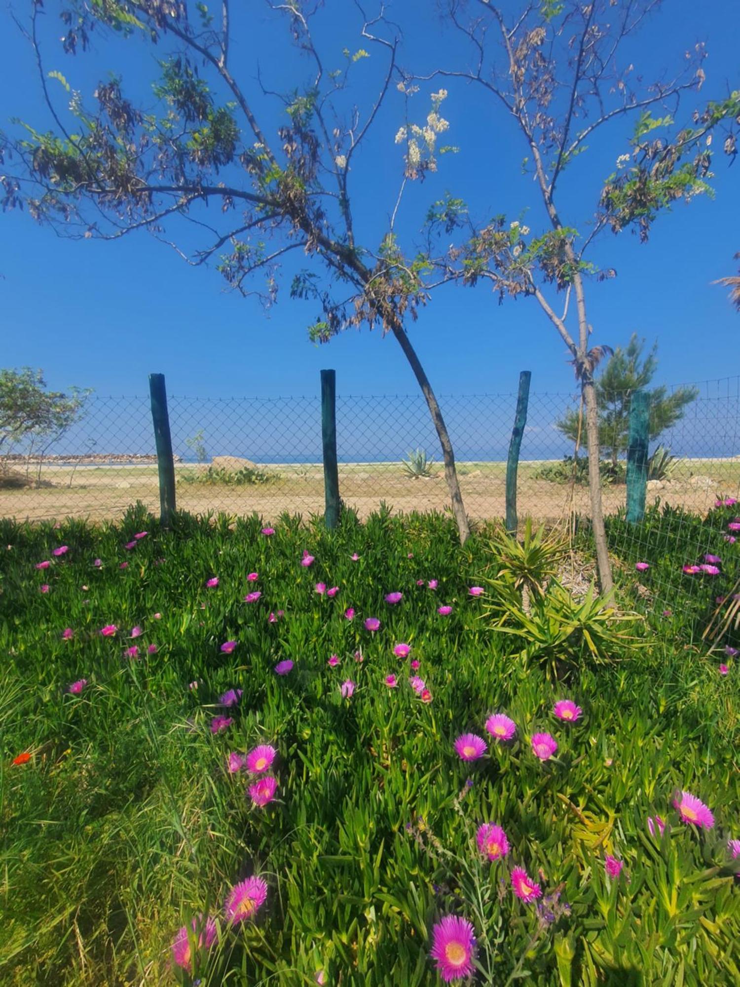 Doukas By The Sea-little Paradise-beachfront *