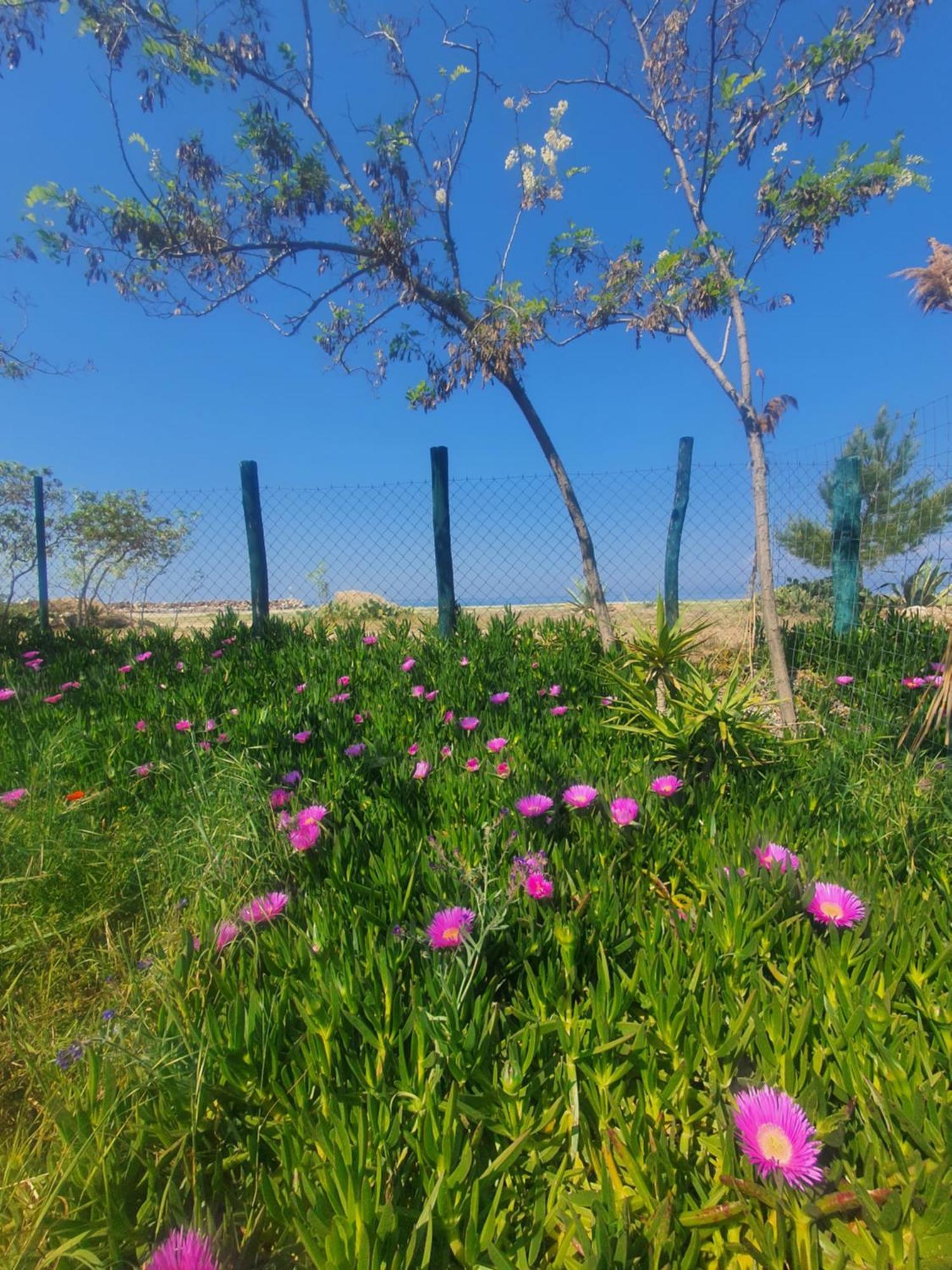 Apartment Doukas By The Sea-little Paradise-beachfront *