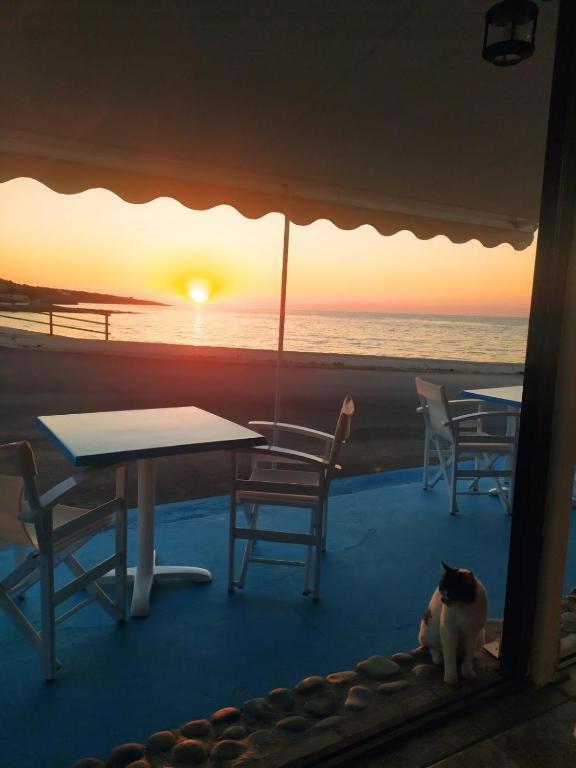 Thalassa Apartment *