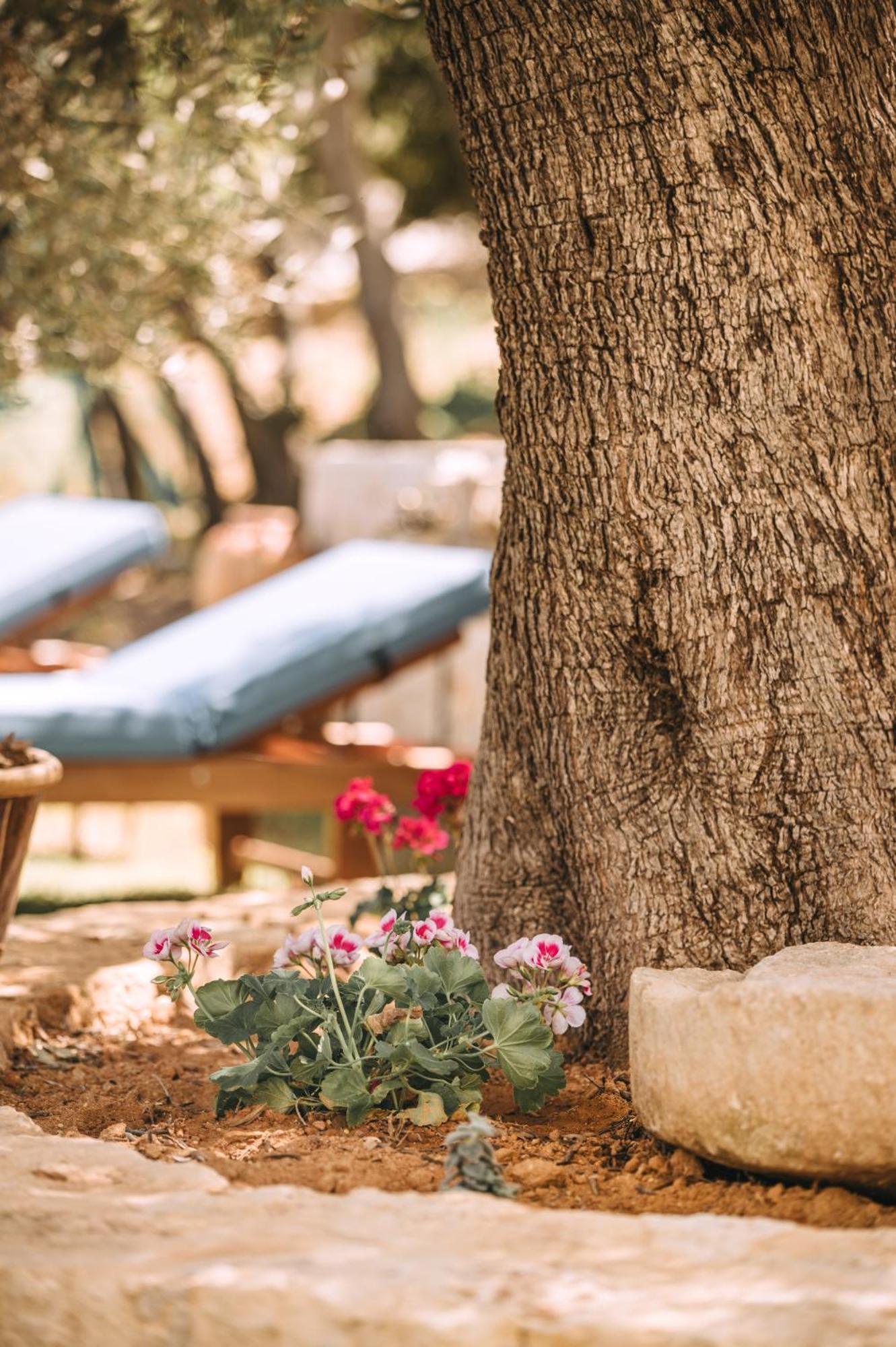 Maroulas Natura Palace Villa Giannoudi (Crete)