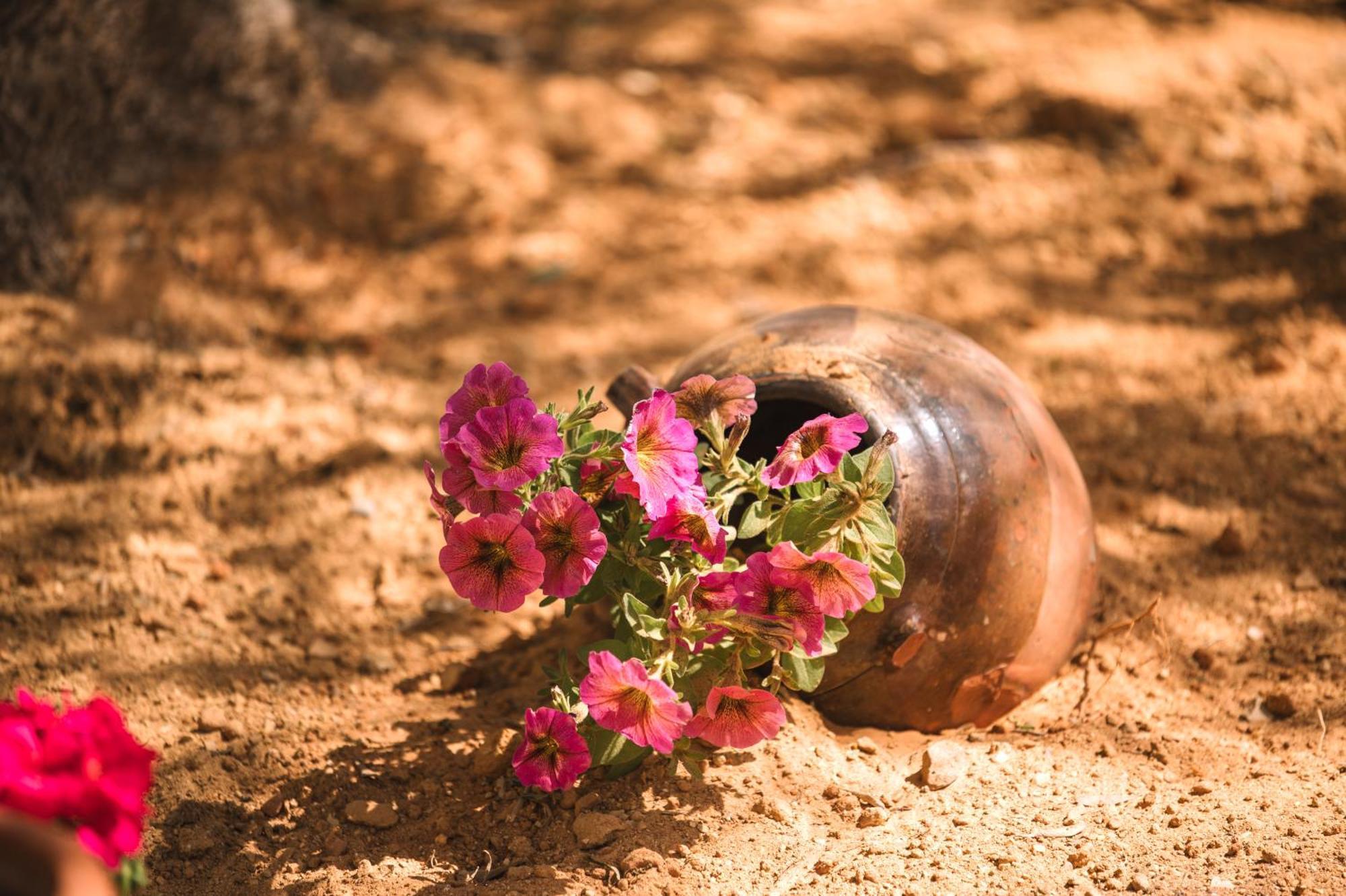 Maroulas Natura Palace * Giannoudi (Crete)