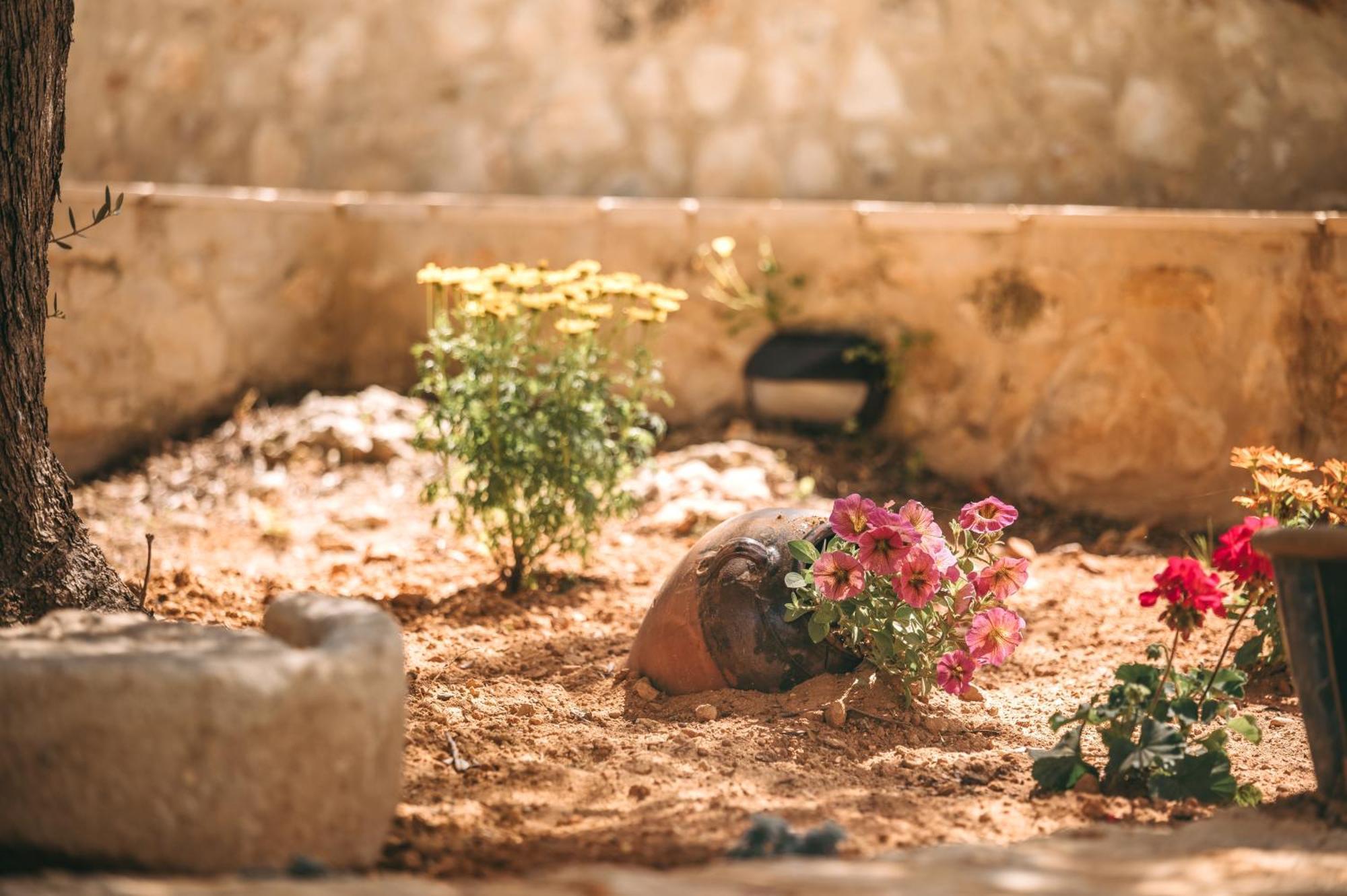 Maroulas Natura Palace Giannoudi (Crete)