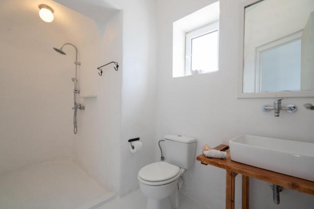 Apartment Irilia, Private Pool With Unrestricted Sea View Fanari (Mykonos)