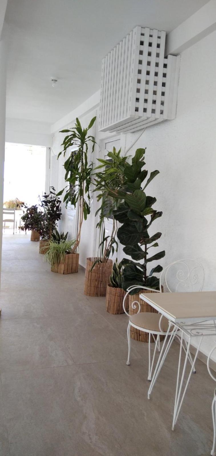 Vista Mare 1 - Double By The Sea Apartment Koutsouras