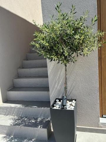 Villa Dream Zen At Mantineia *