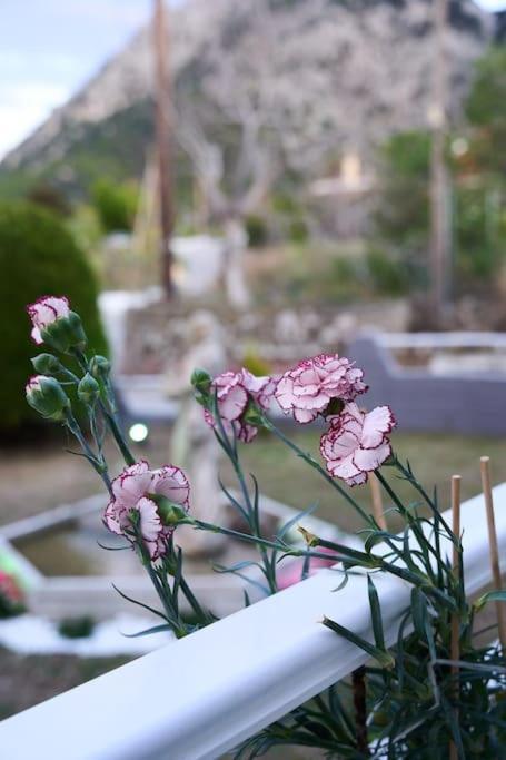 Chrysanthi Luxury In Salakos, With Pool & Jacuzzi, Near Salakos