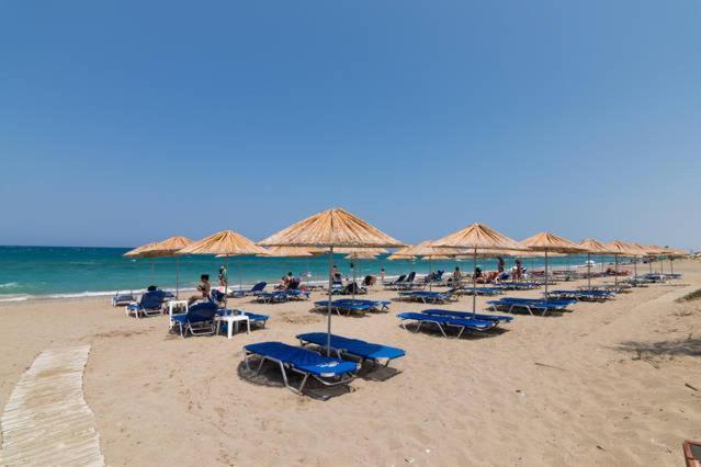 Coastal Key 9 * Gazi