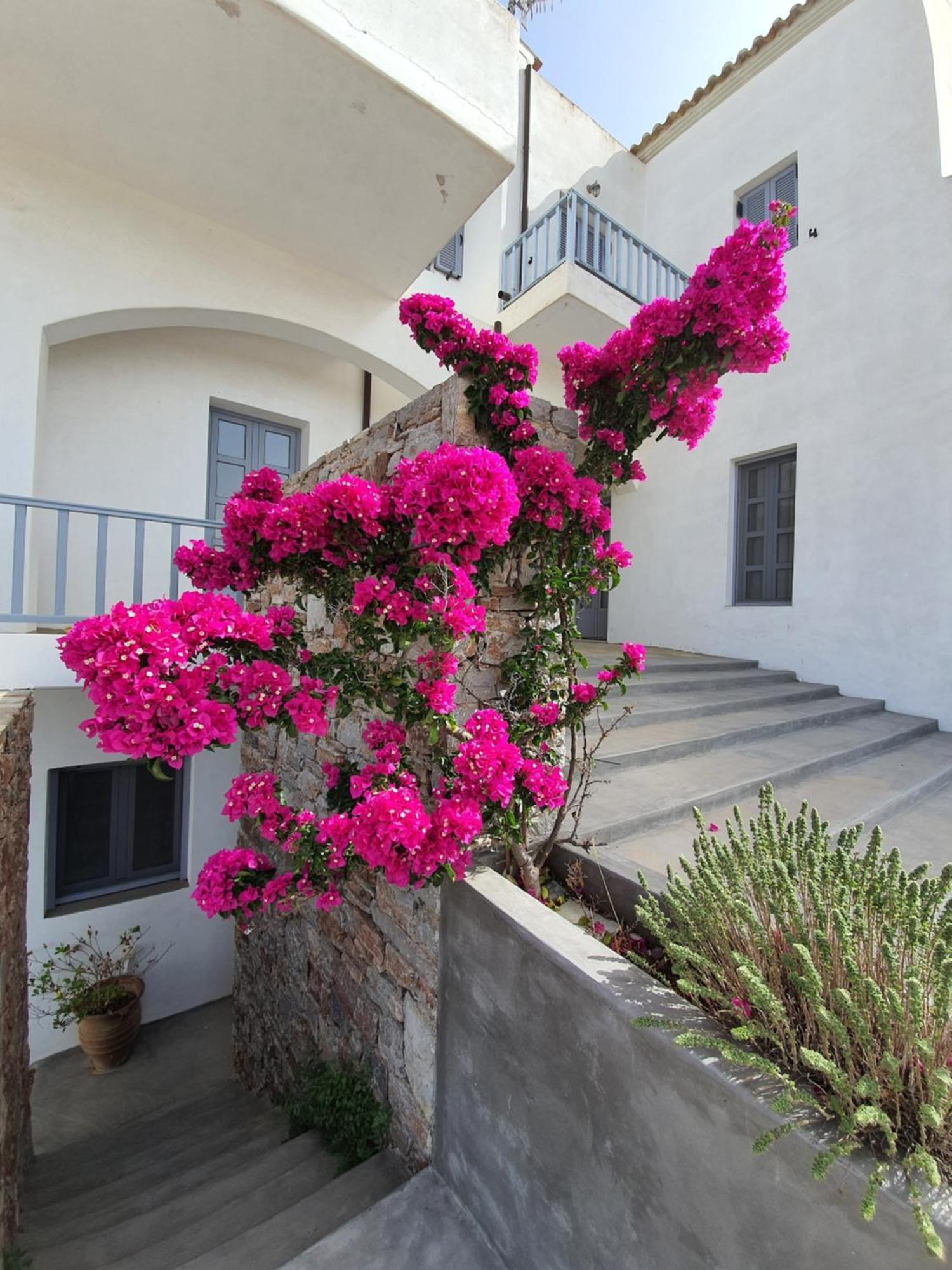 Domus Arch Residences Apartment Potamos (Kythira)