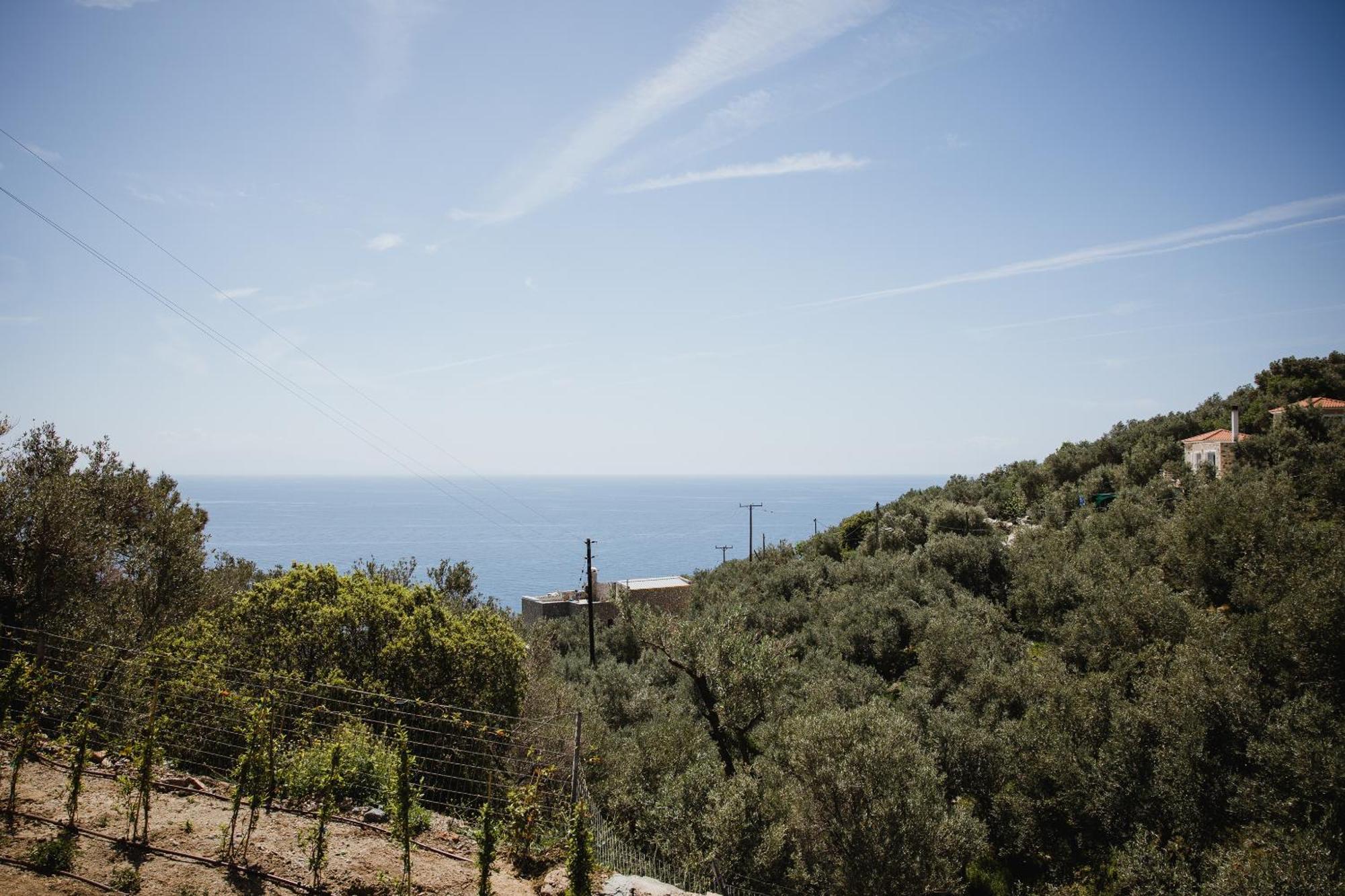 Five Olive Dream Trip Holiday home Plomari