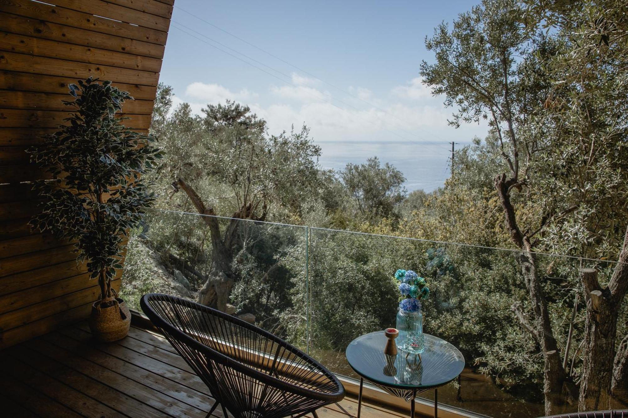 Five Olive Dream Trip *