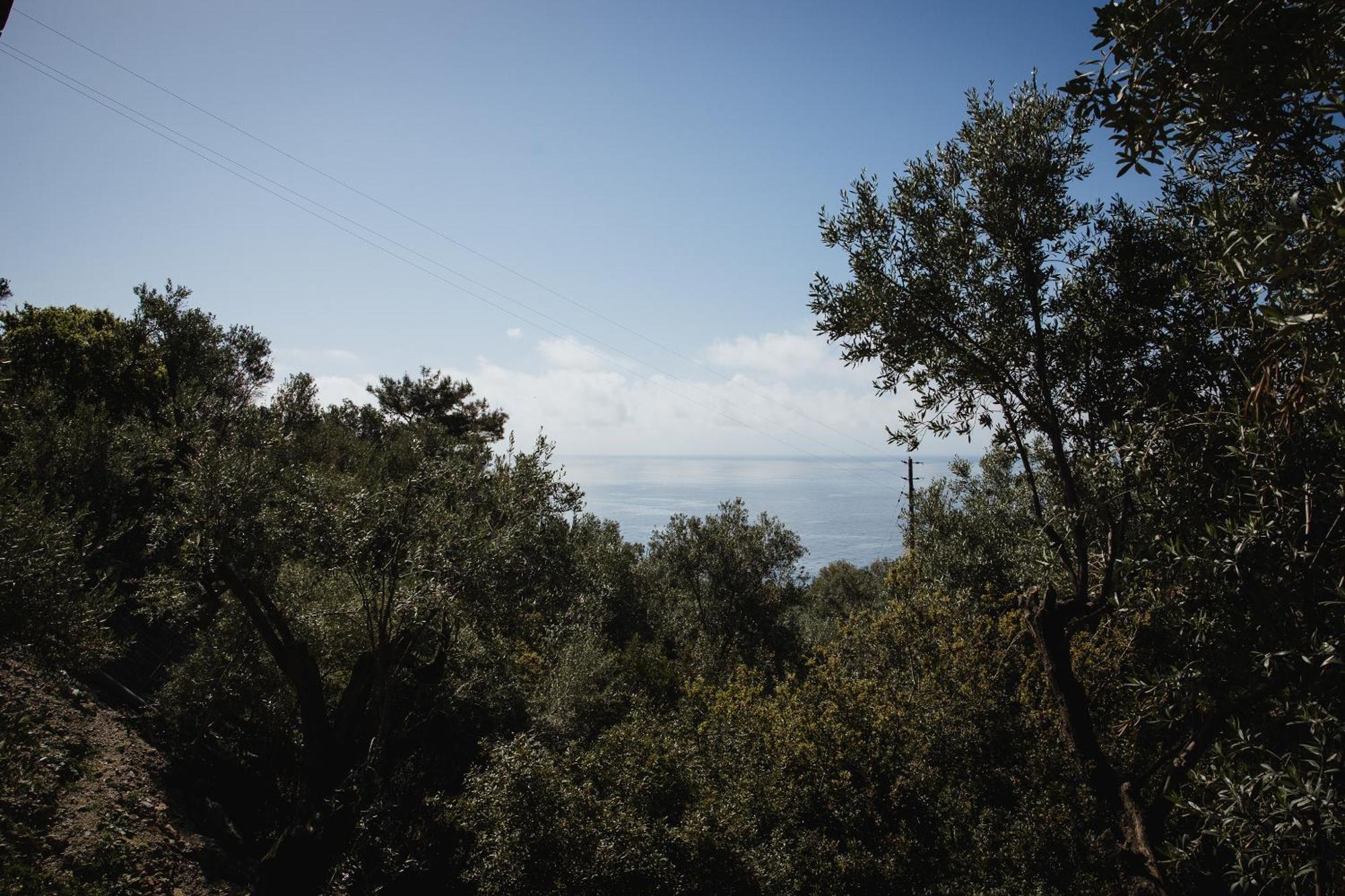 Holiday home Five Olive Dream Trip *