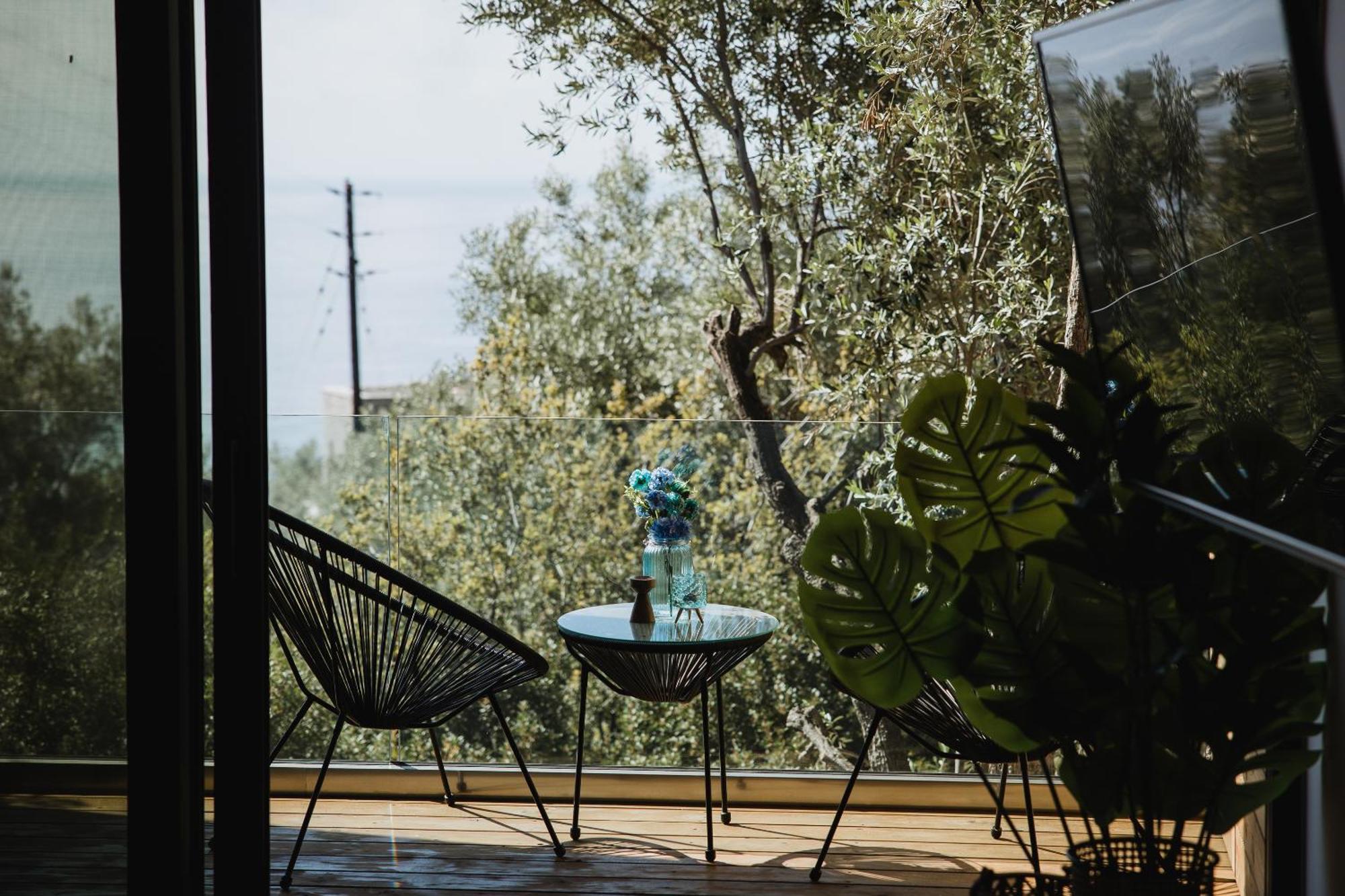 Five Olive Dream Trip