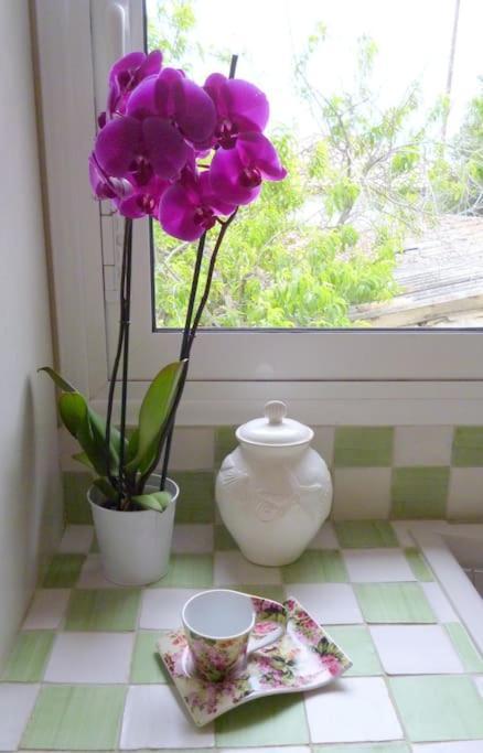 ανεμώνη - Anemoni Holiday home Koroni (Messinia)
