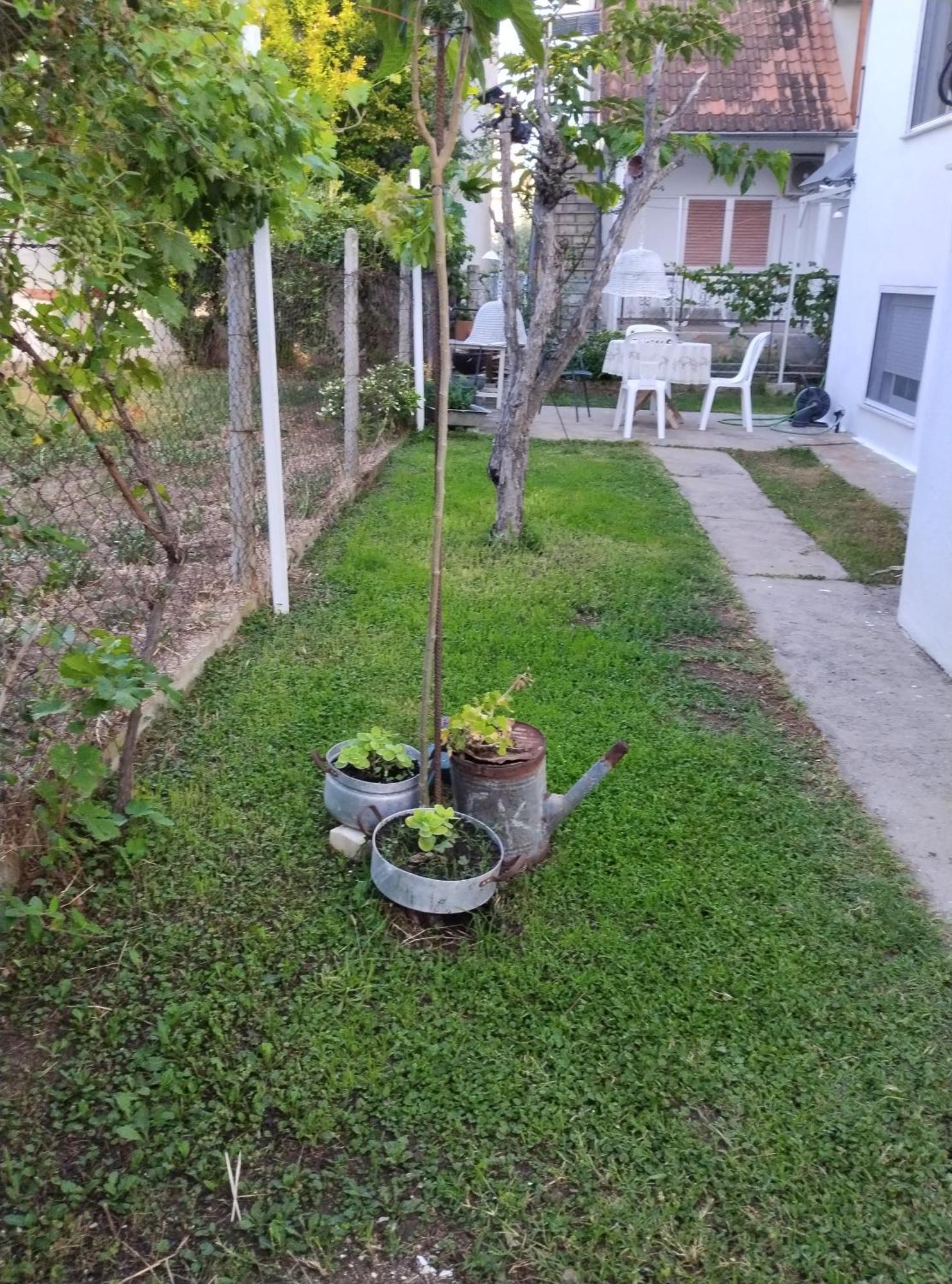 θαλασσινή αυρα Holiday home