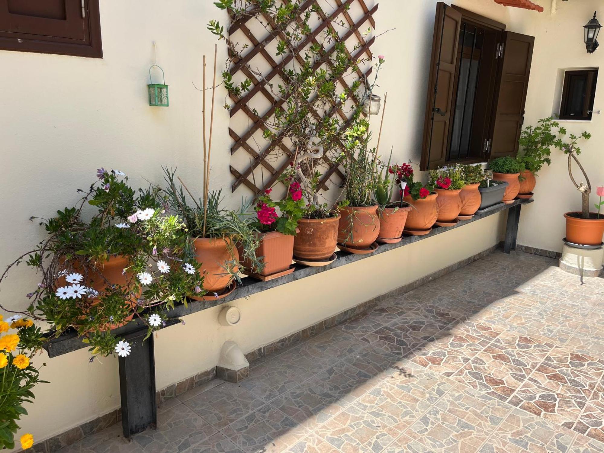 Guest house Eleni Rhodes City