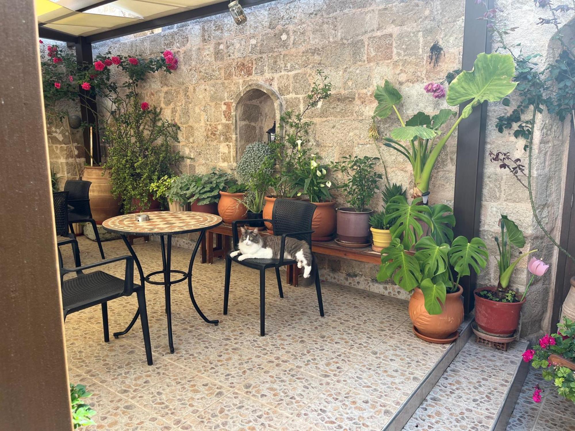 Eleni 2* Rhodes City