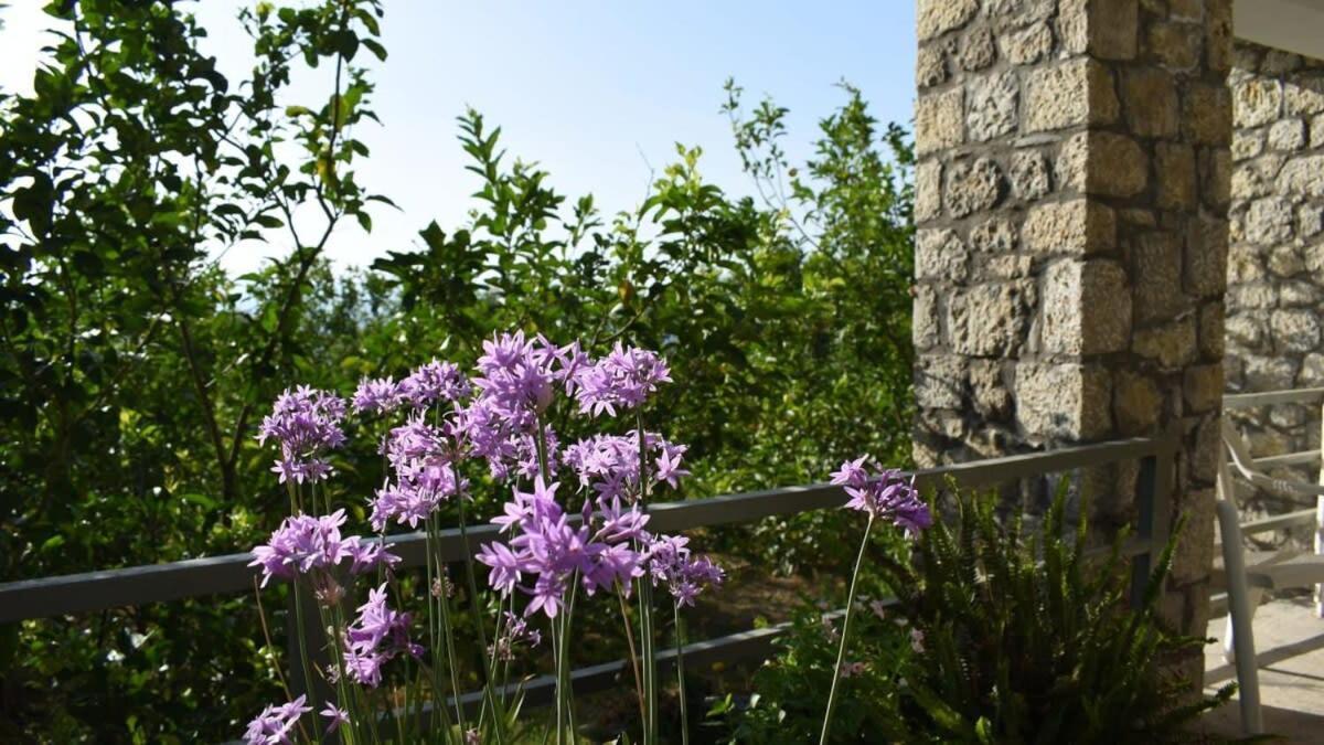 Coastal Stone Hideaway With Stunning Scenery Holiday home *
