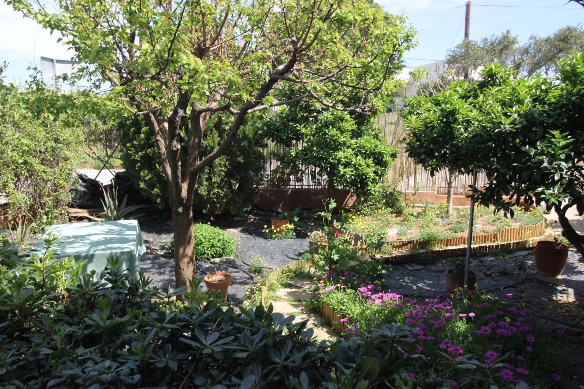 Virginia's Art House Holiday home Porto Rafti