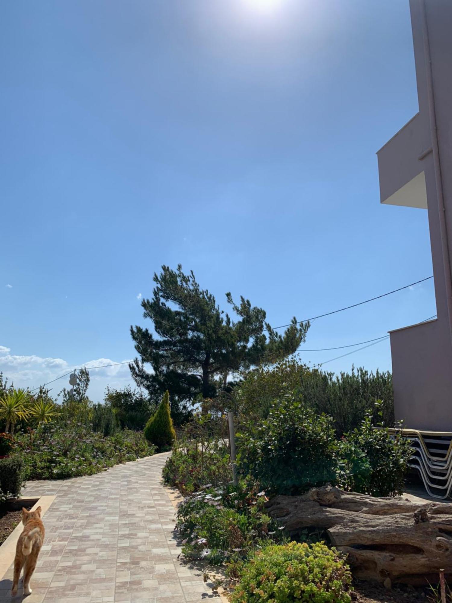 Aliki Apartment *