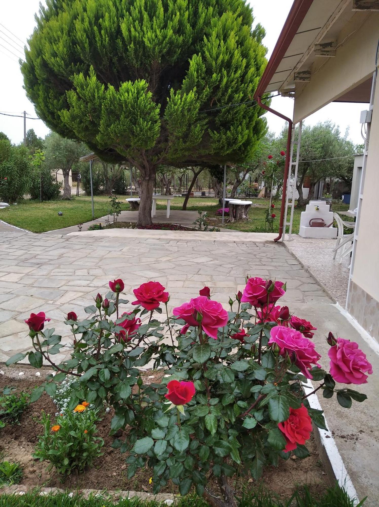 Kalyves, 2 Bedrooms, Sleeps 6, 700sqmgarden, 180m From *