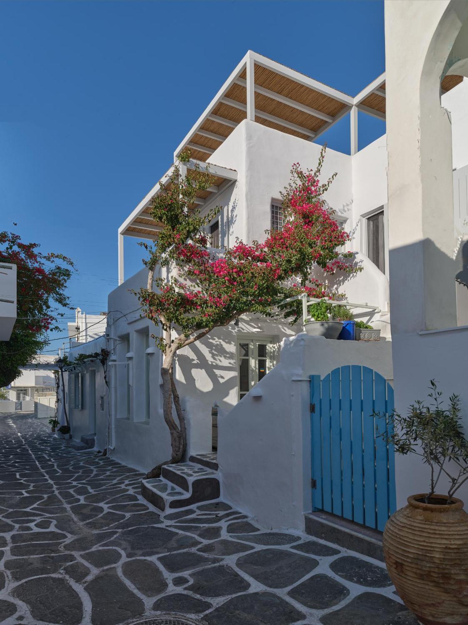 Flair Sky Holiday home Naousa (Paros)