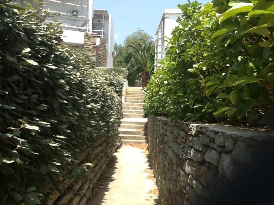Evaggelia & Apartment