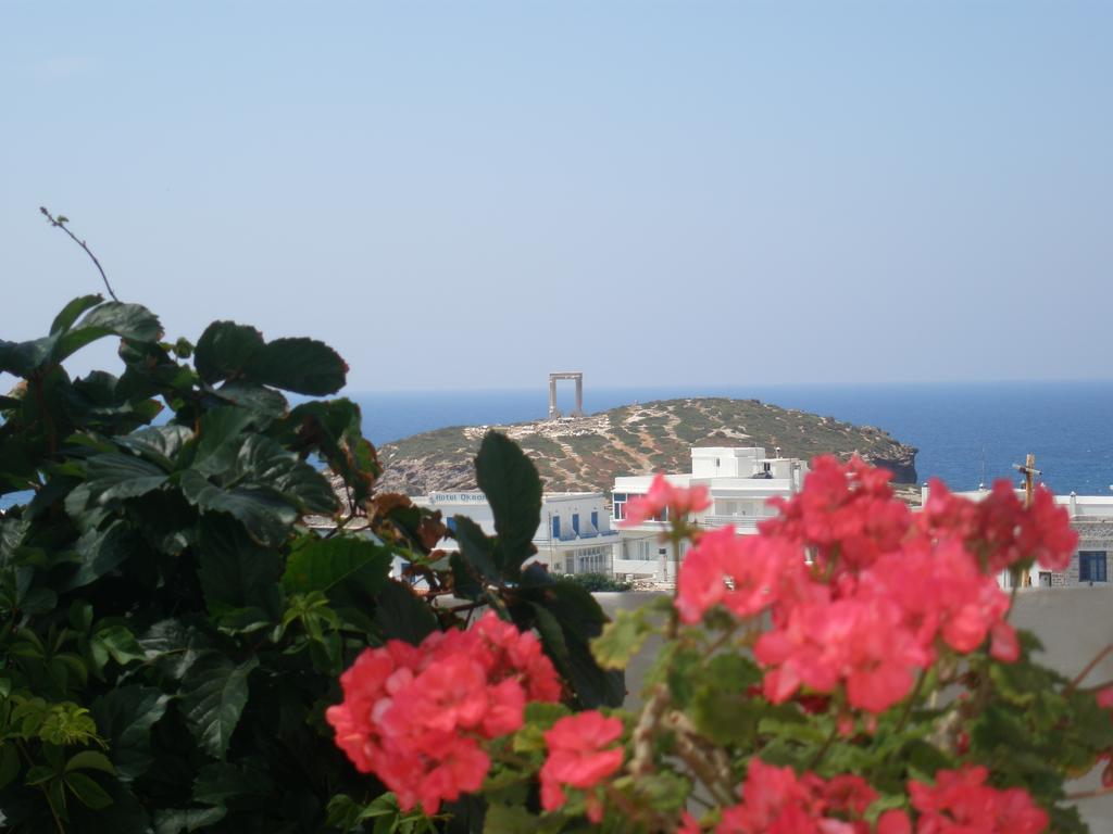 Chateau Zevgoli Hotel Naxos City