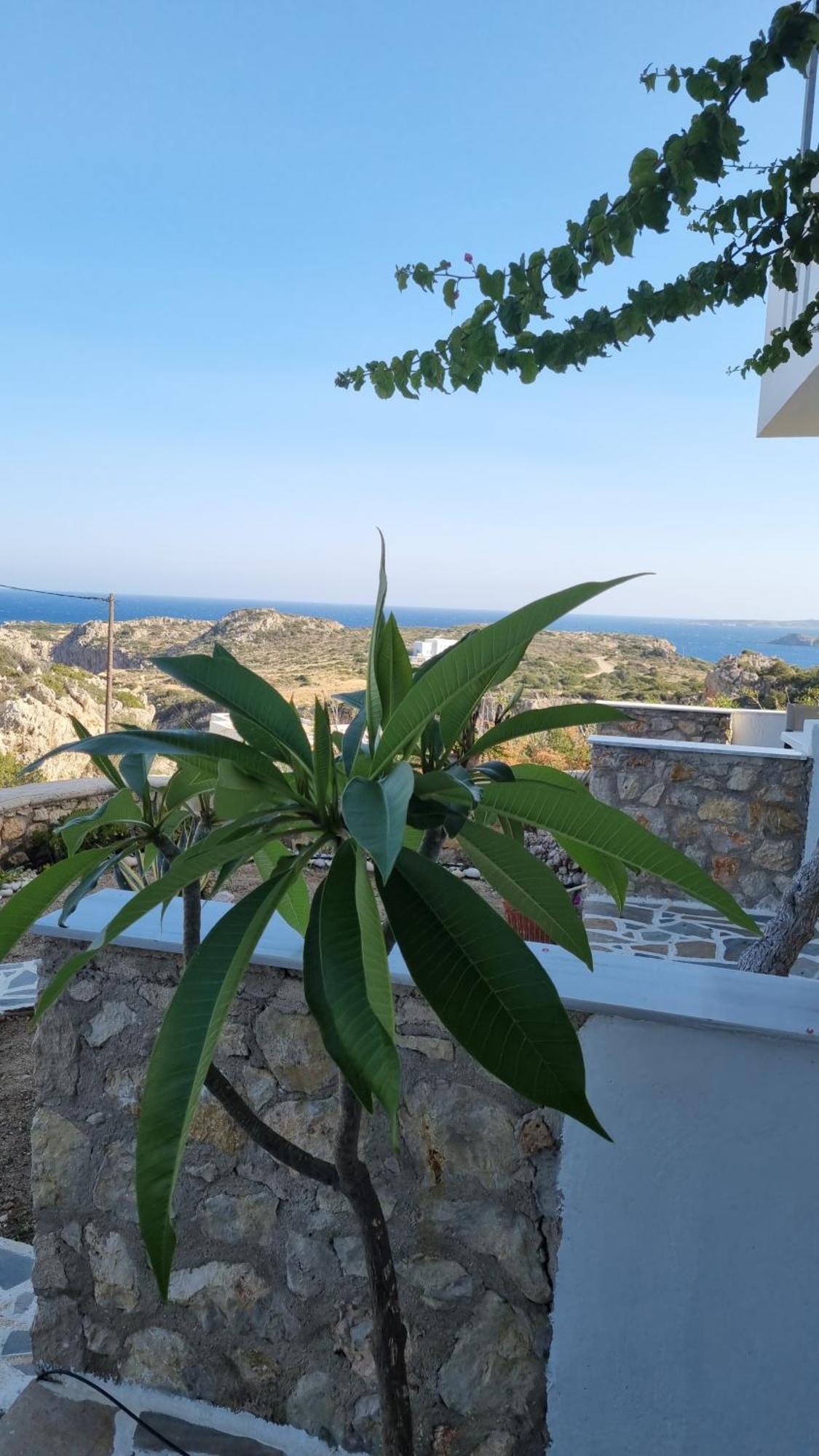 Aparthotel Nina Amoopi