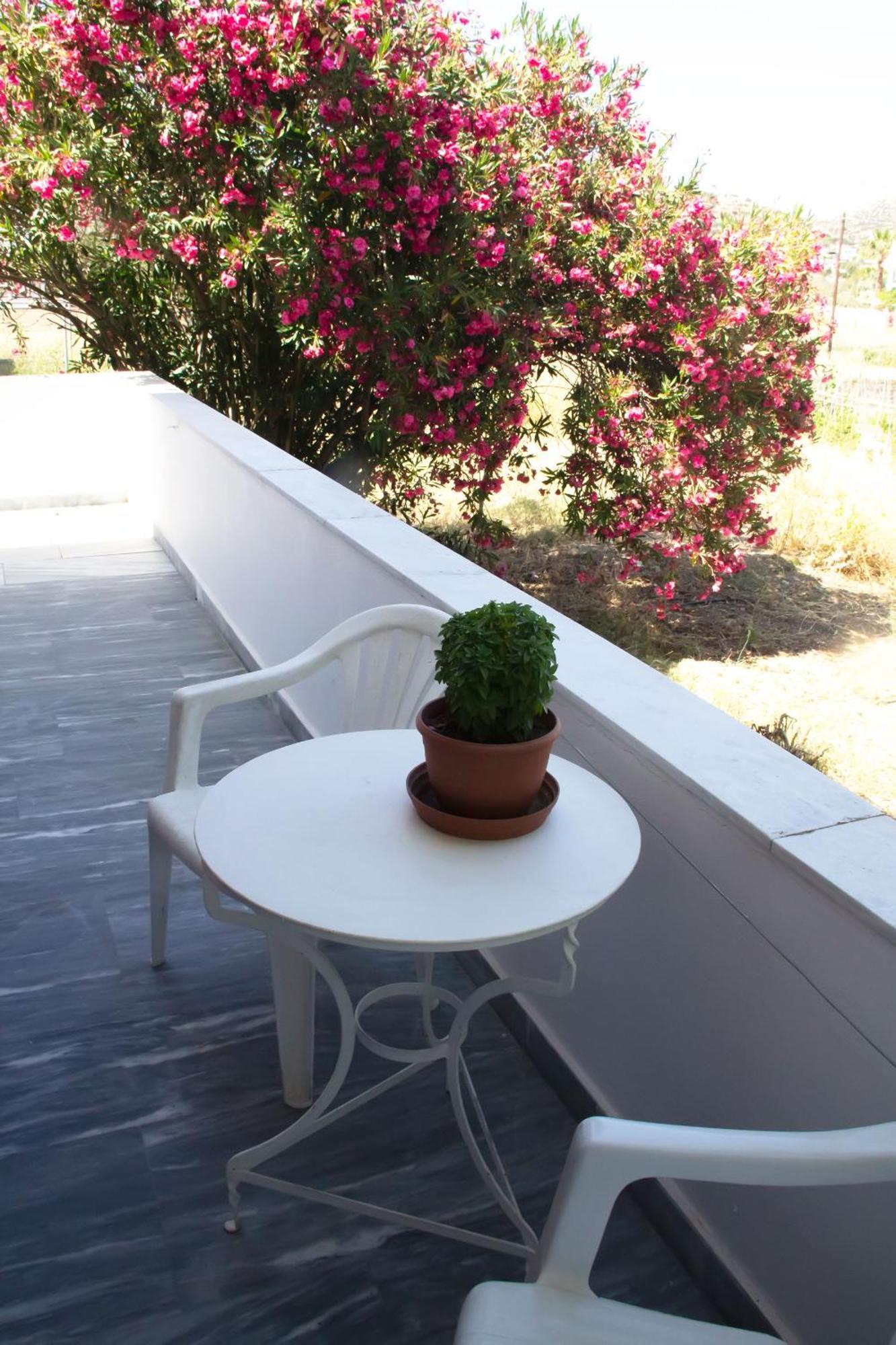 Apartment Aristidis *