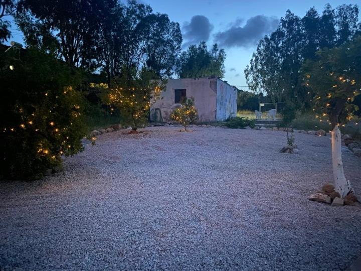 Thalia's House * Pastida