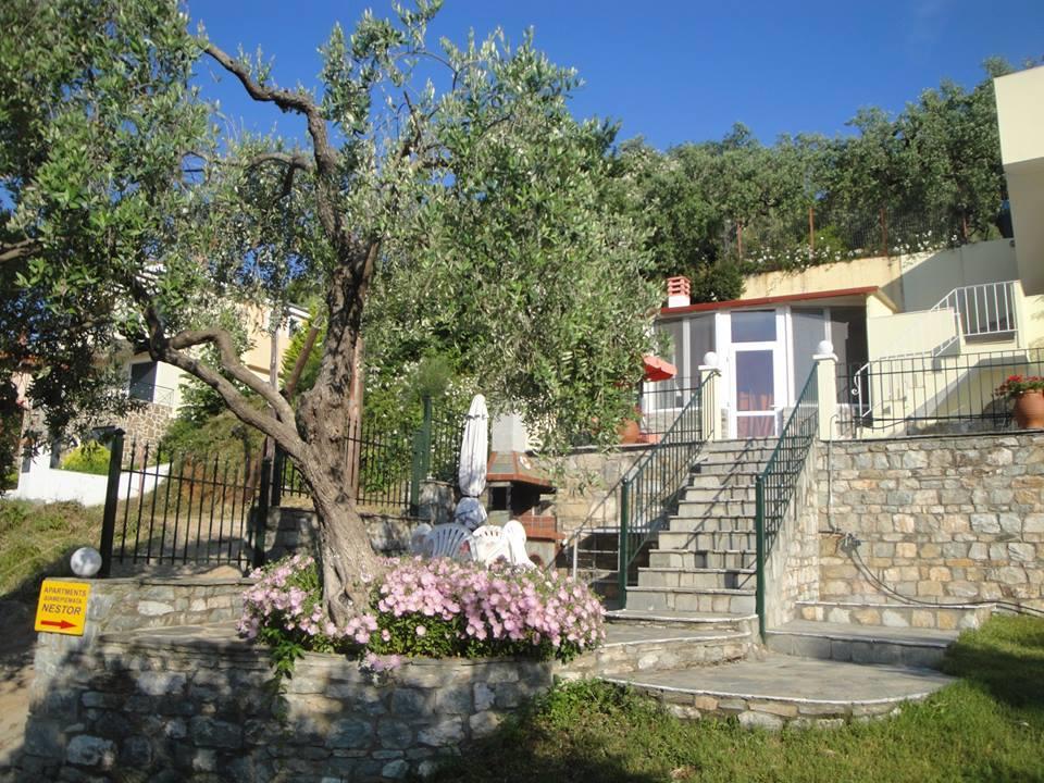 Apartment Nestor Chrysi Ammoudia