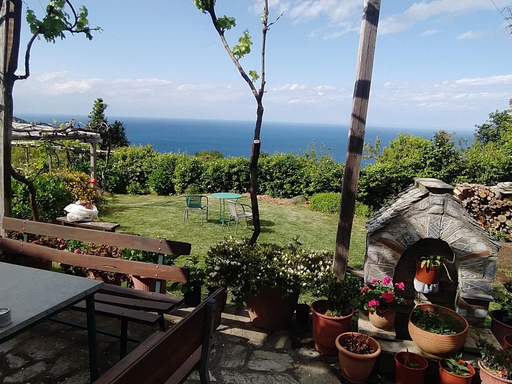 Apartment ειρηνη *