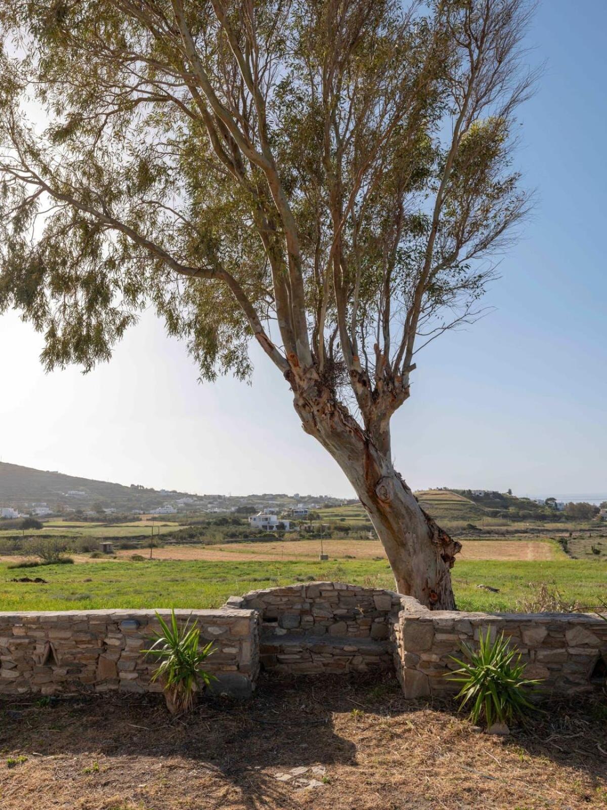 Myrsini Traditional Hillside Holiday home *