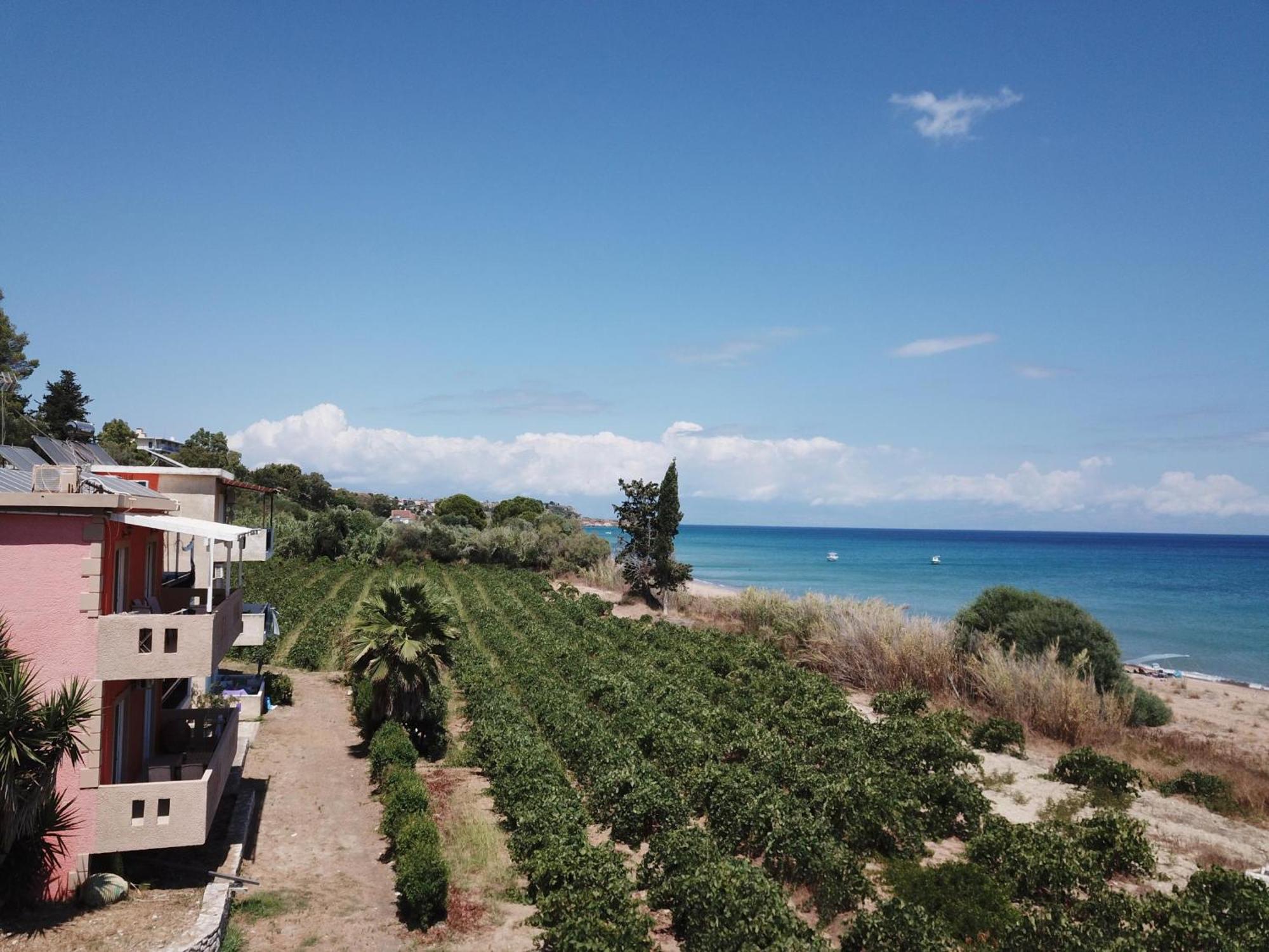 Apartment Memi View B1
