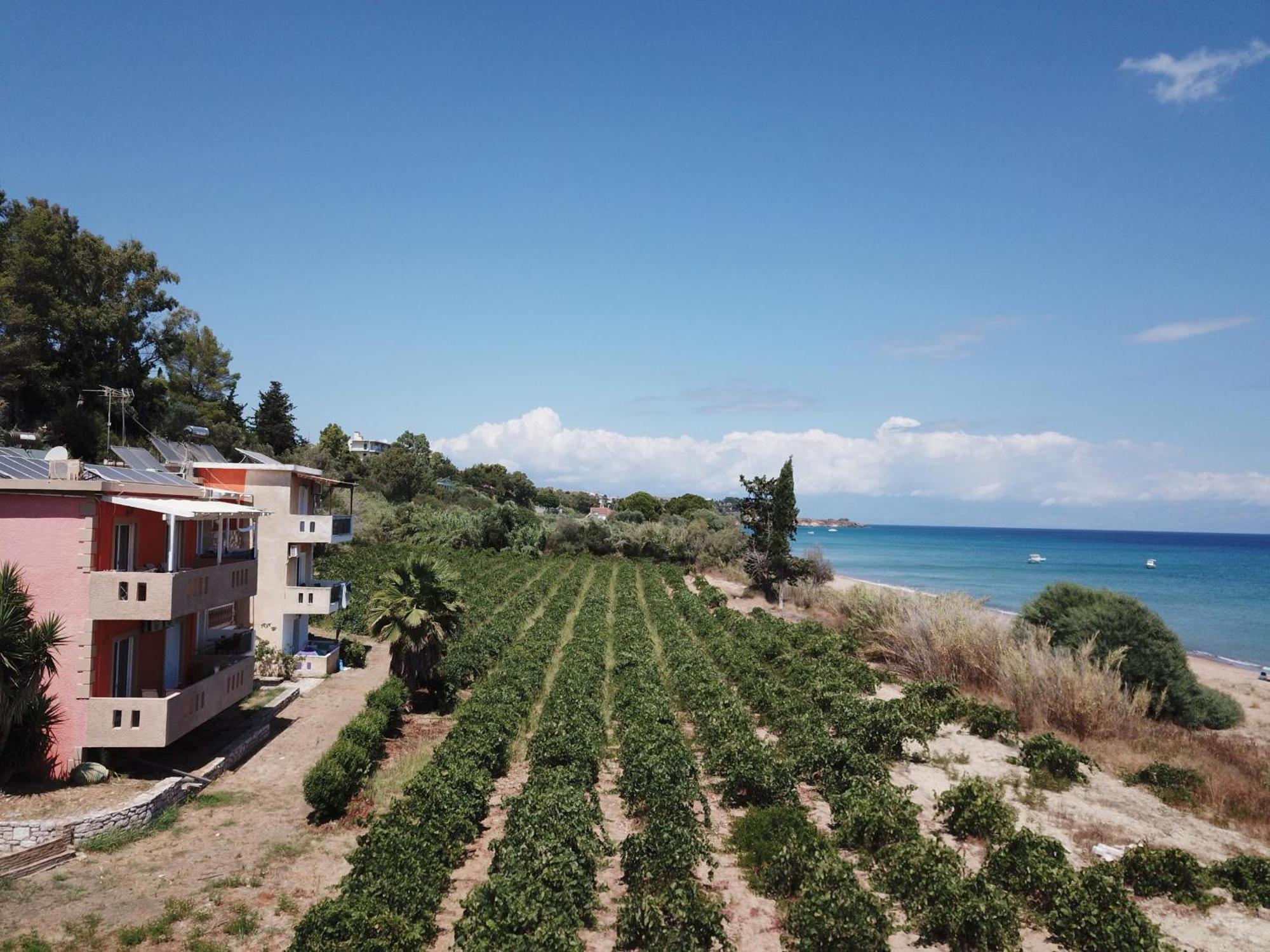 Apartment Memi View A1 Koroni (Messinia)