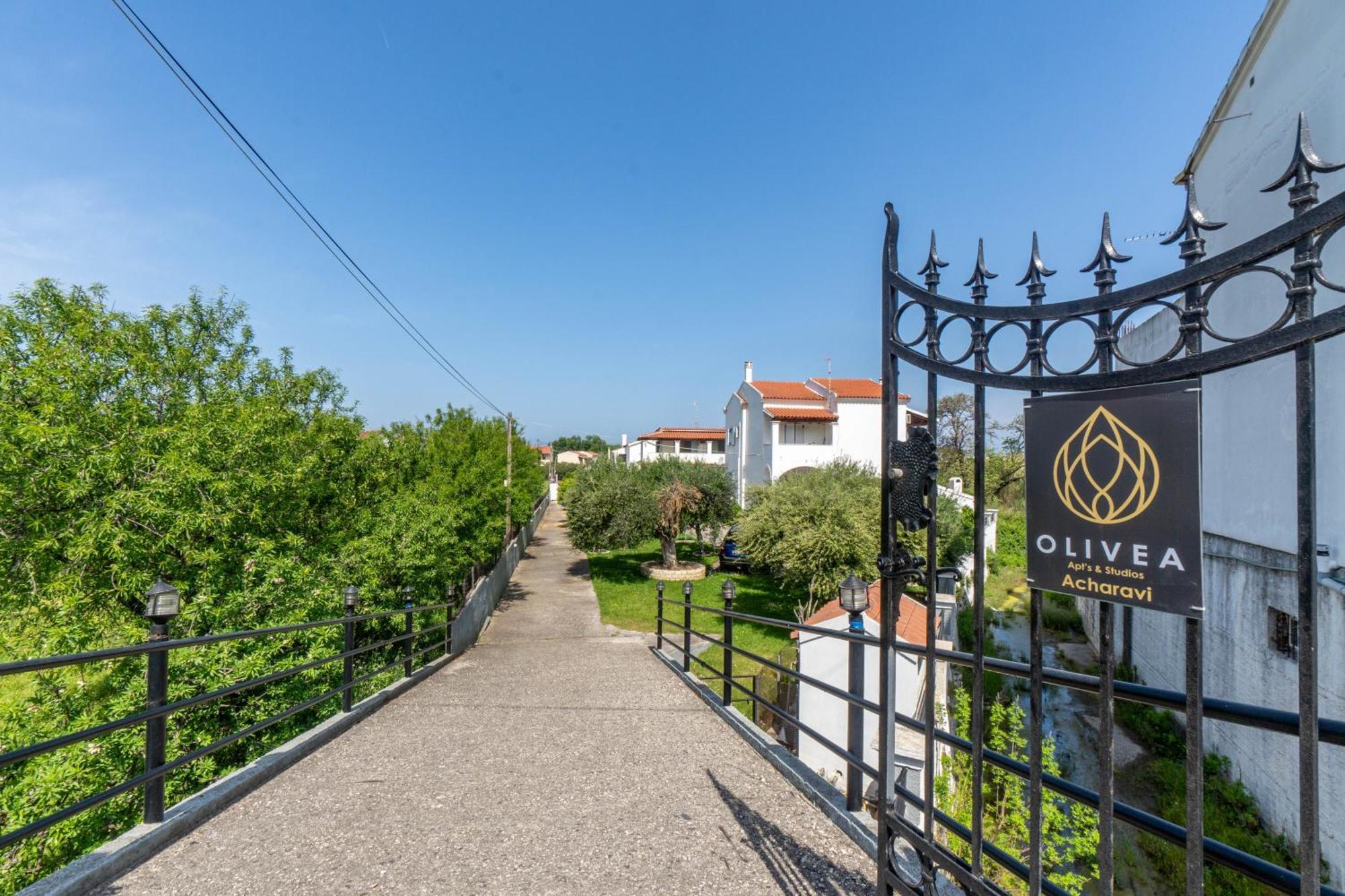 Apartment Olivea 1 Acharavi (Corfu)