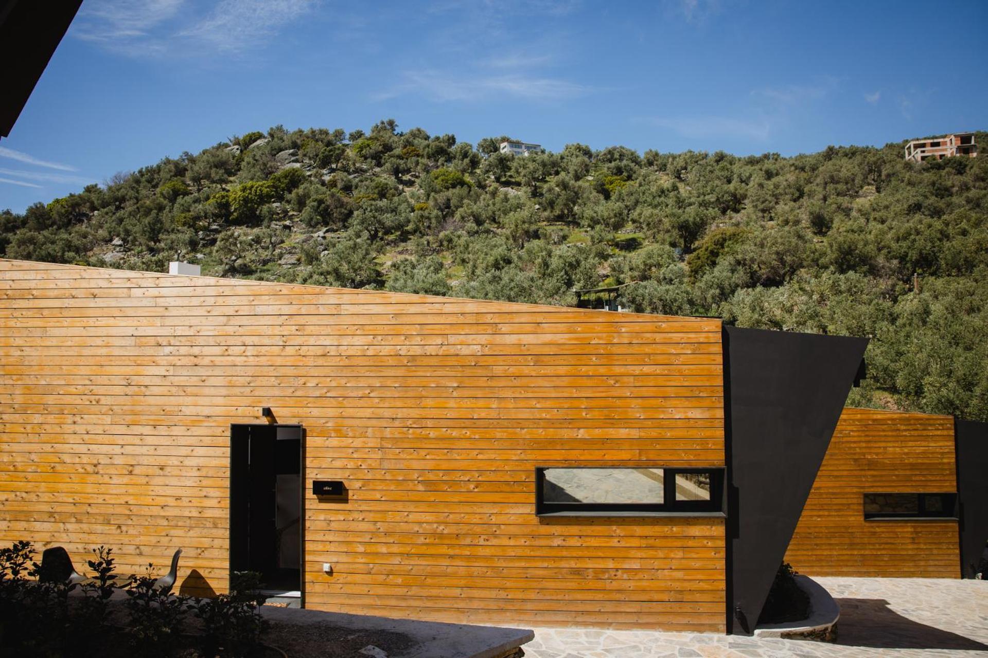 Five Olive Dream Trip