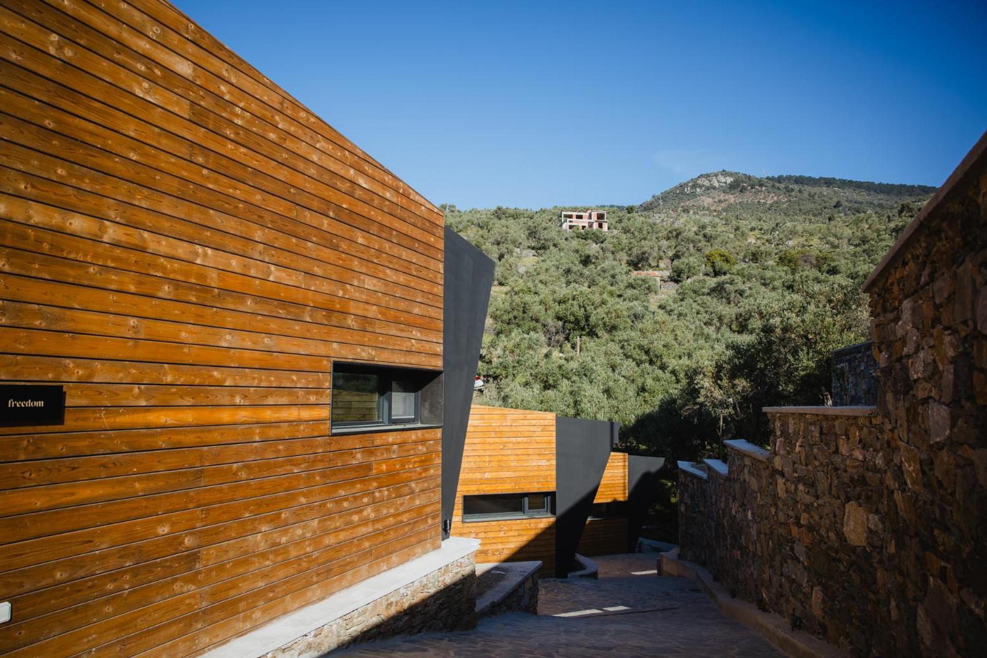 Five Olive Dream Trip Plomari