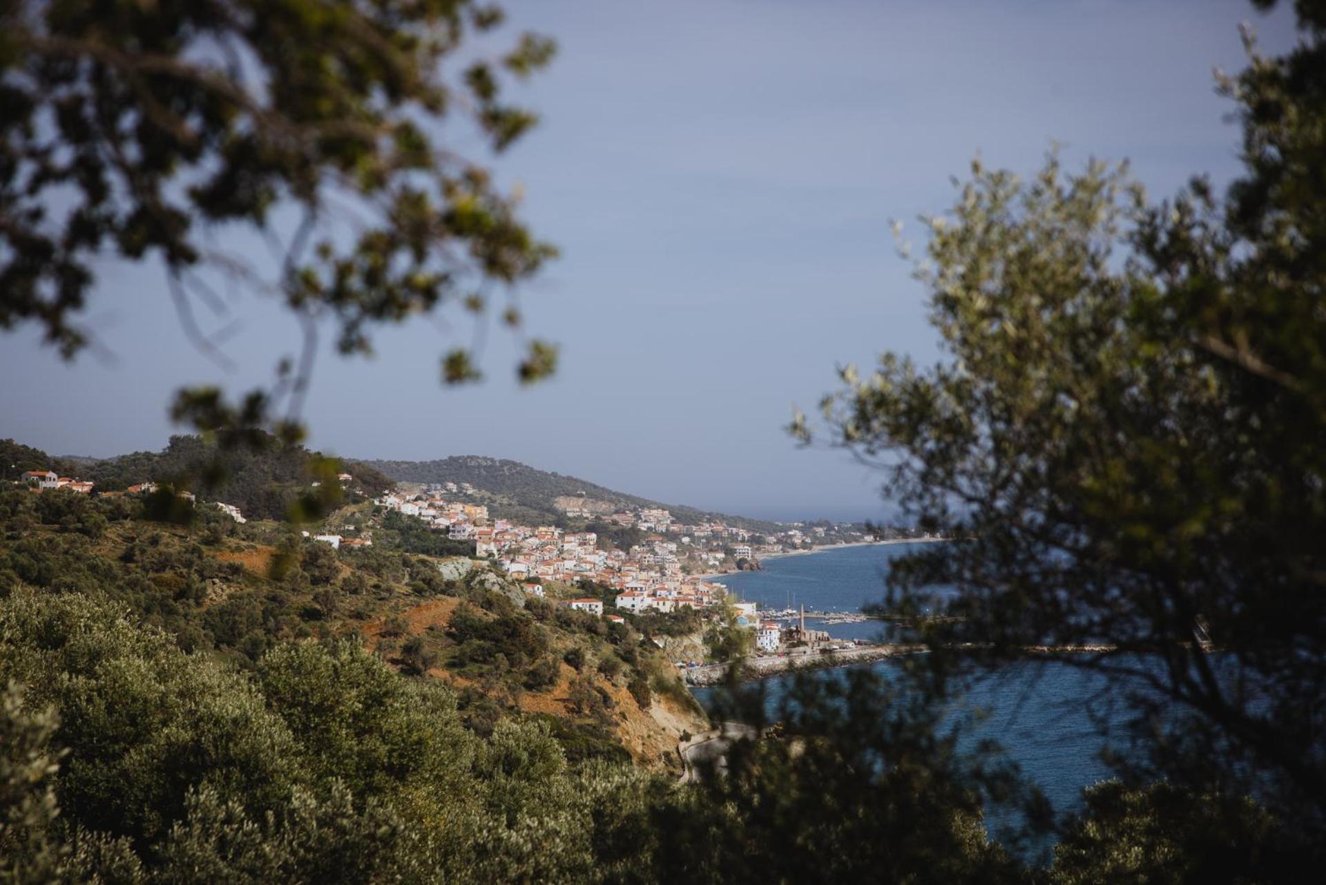 Five Olive Dream Trip * Plomari