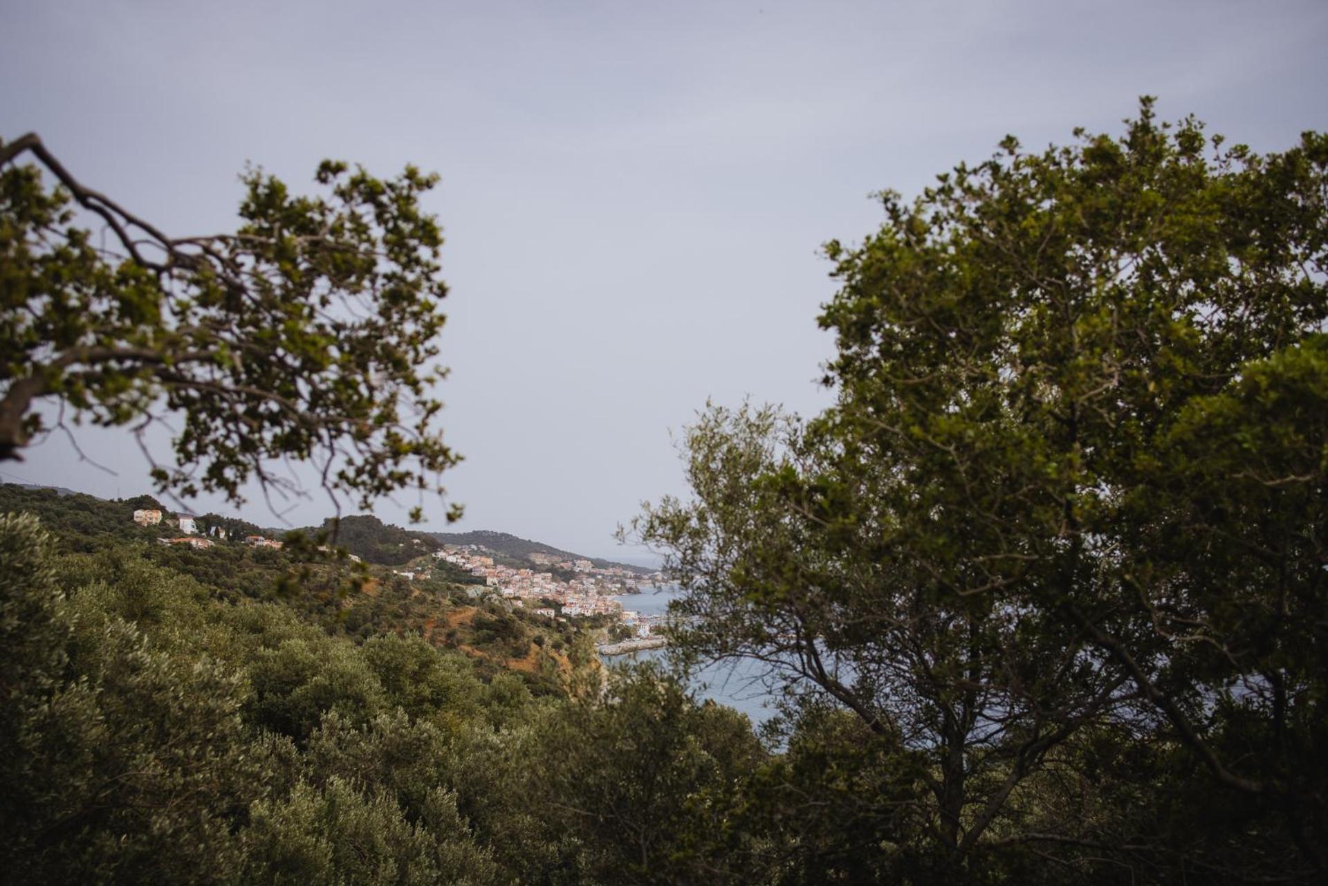 Five Olive Dream Trip Plomari